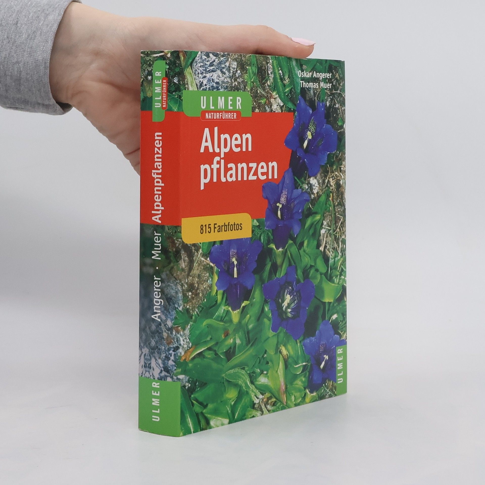 Oskar Angerer Alpenpflanzen