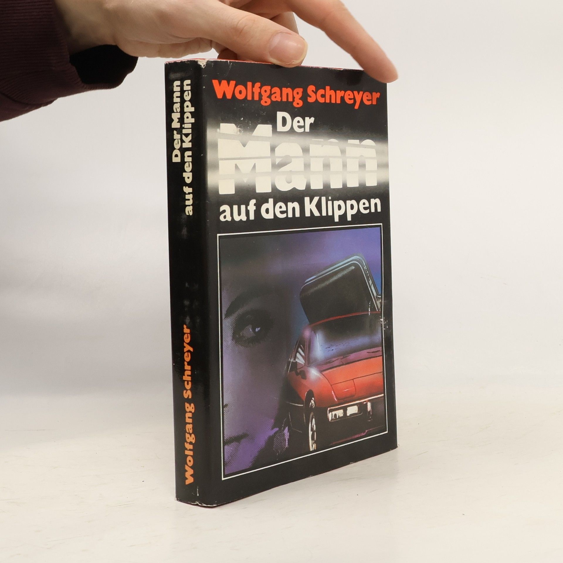 Wolfgang Schreyer Der Mann auf den Klippen