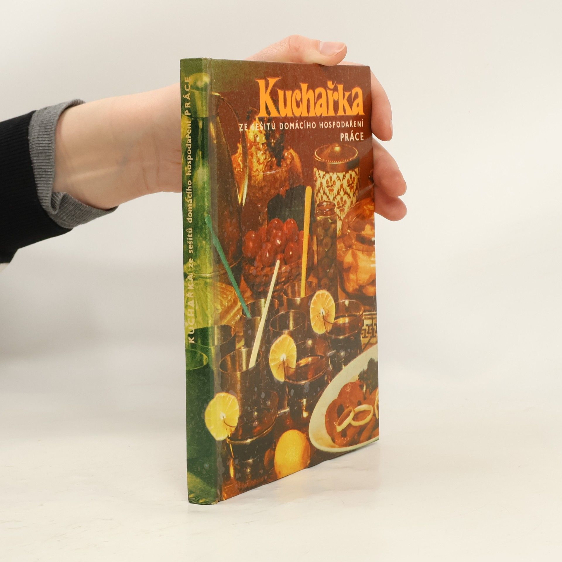 Joza Břízová Kuchařka ze sešitů domácího hospodaření