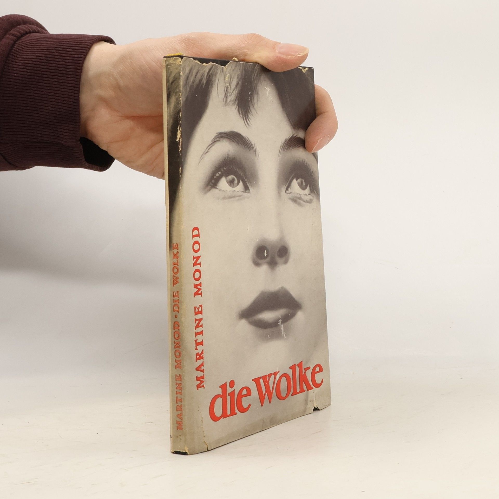 Martine Monod Die Wolke