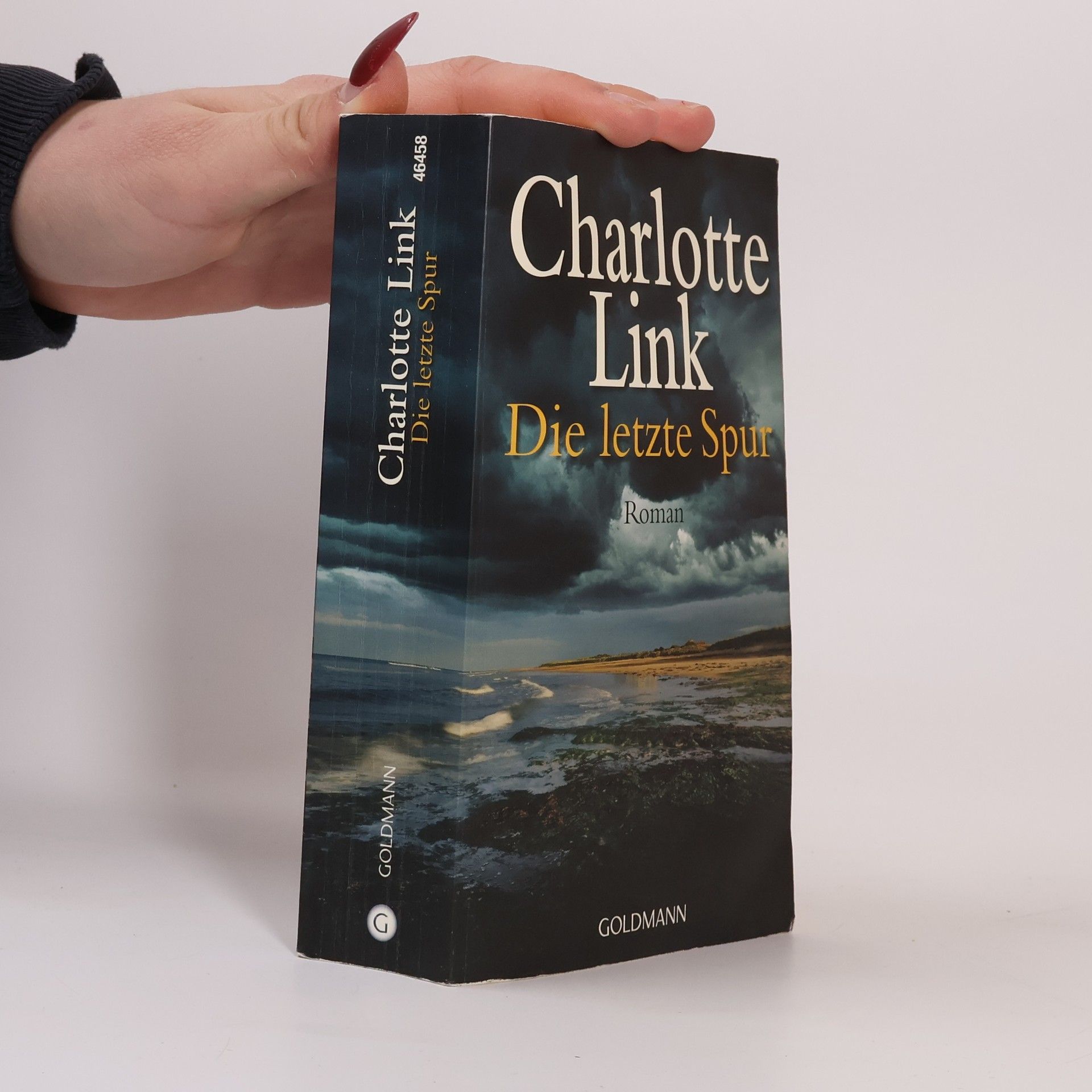 Charlotte Link Die letzte Spur