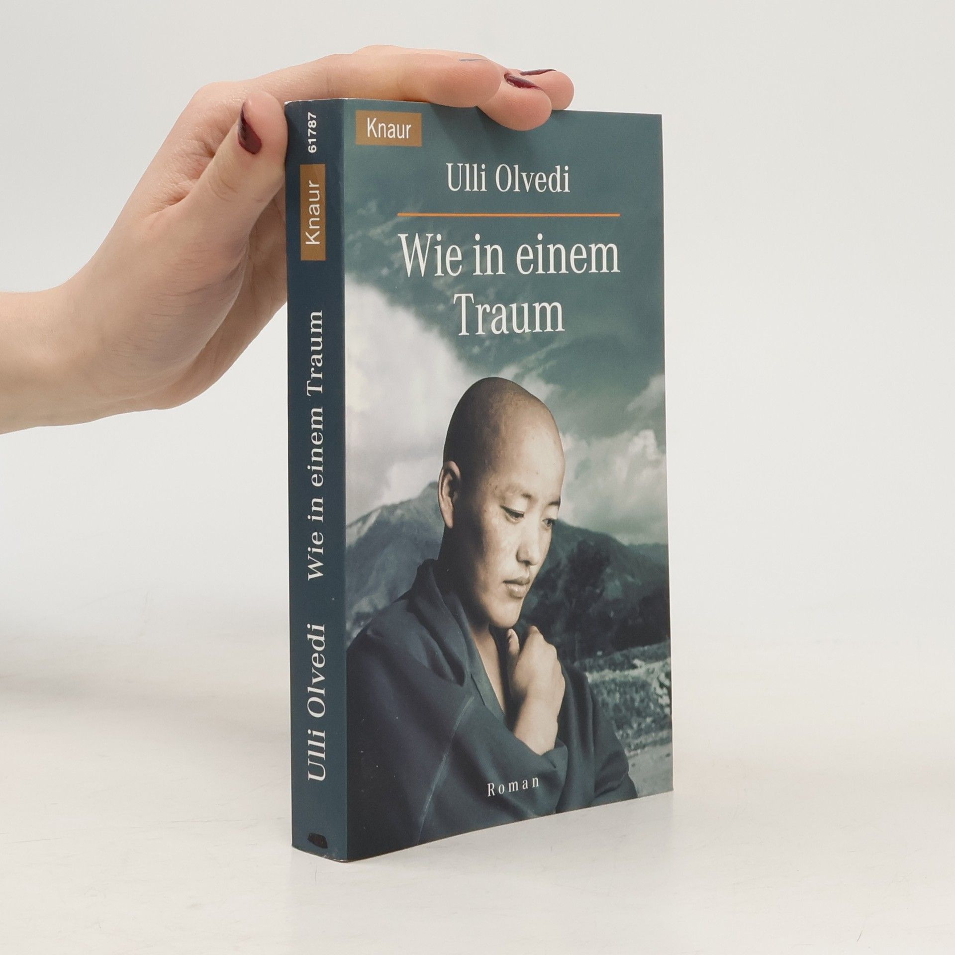 Ulli Olvedi Wie in einem Traum