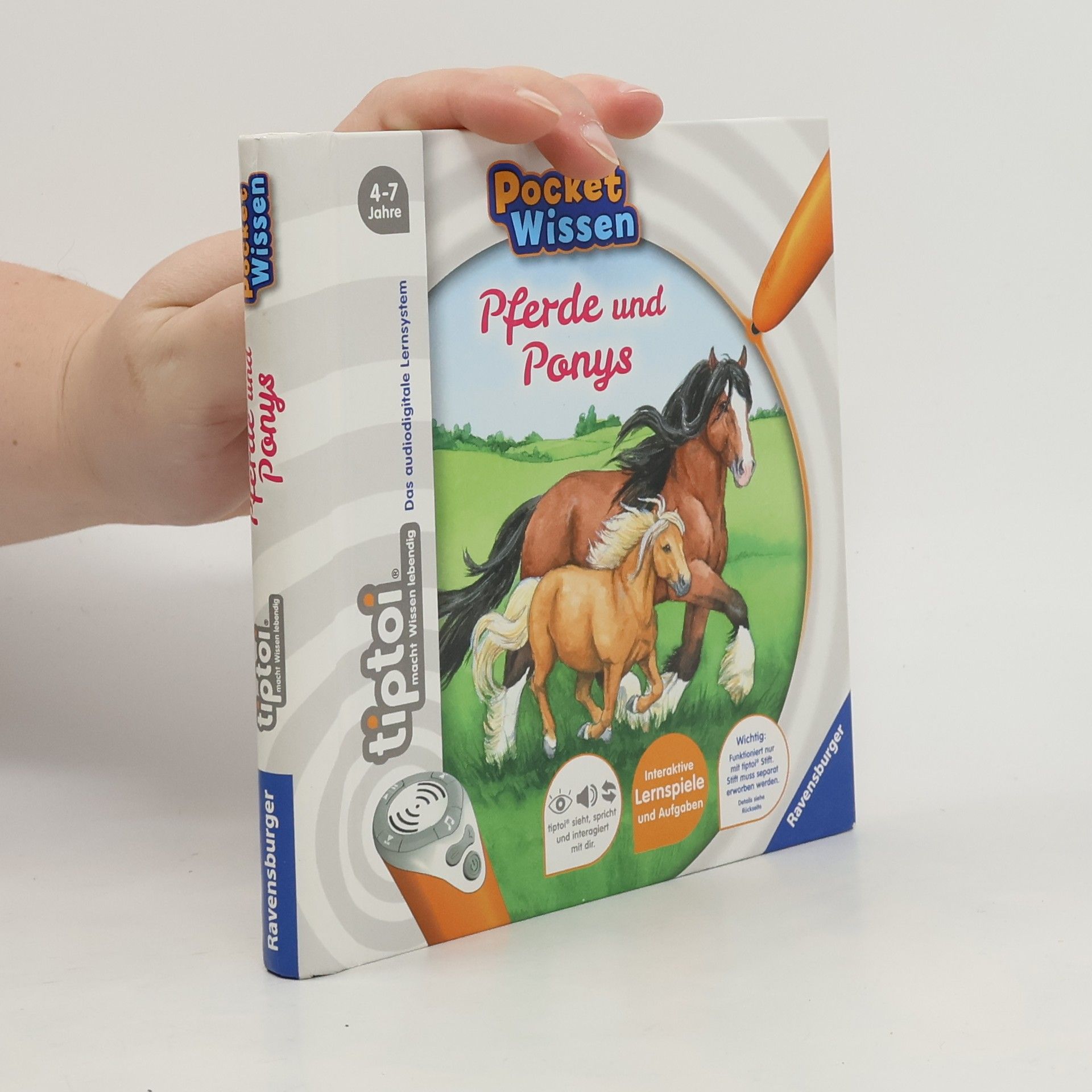 Yvonne Follert Pferde und Ponys