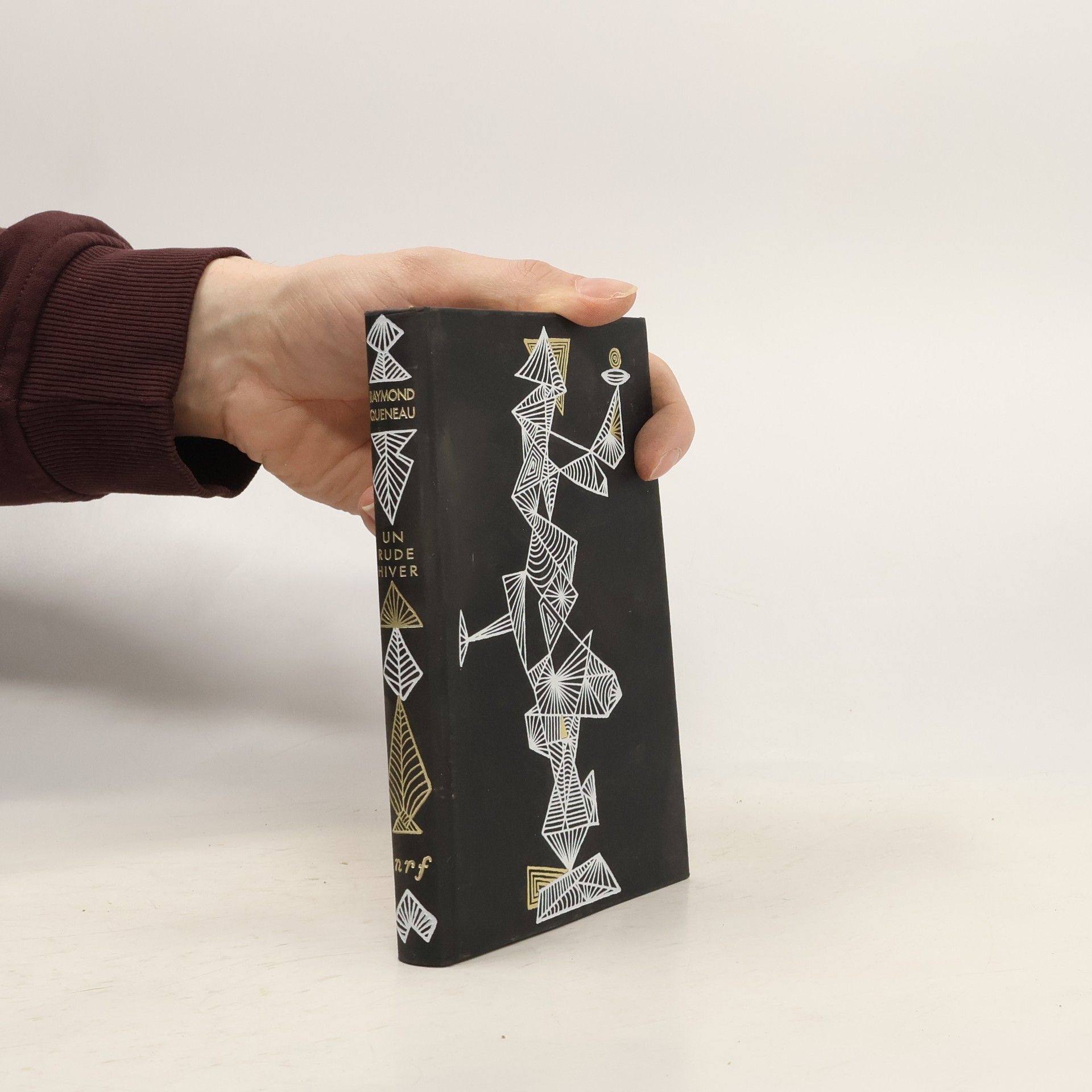 Raymond Queneau Un rude hiver