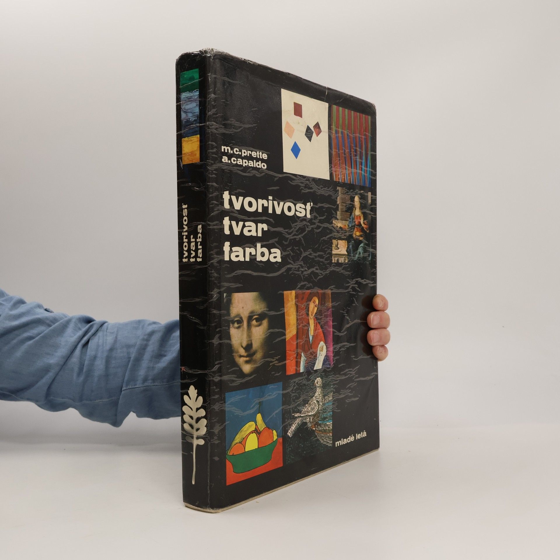 Tvorivosť, tvar, farba