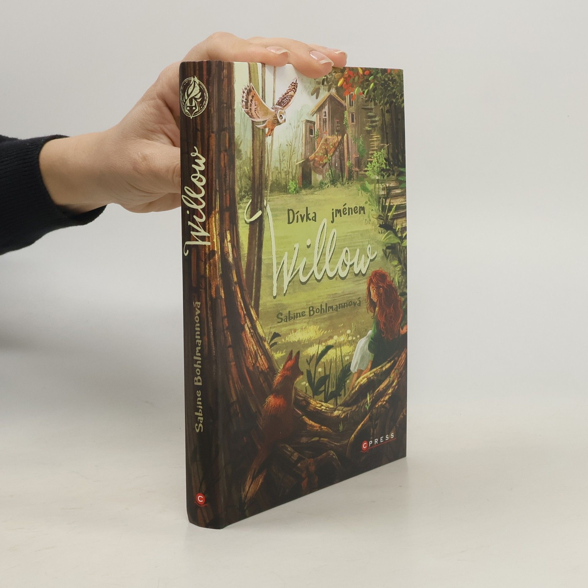 Sabine Bohlmann Dívka jménem Willow