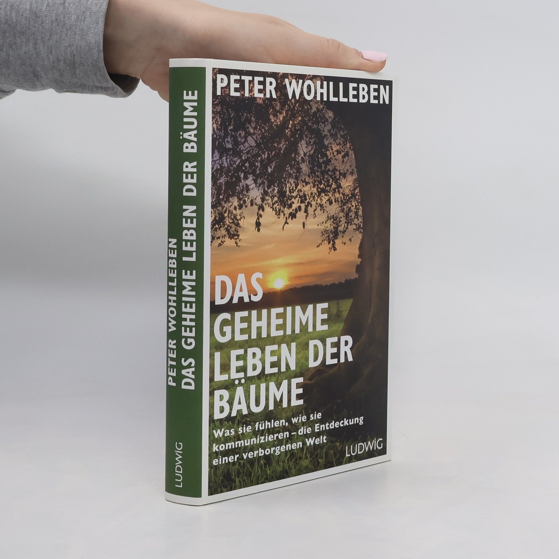 Peter Wohlleben Das geheime Leben der Bäume