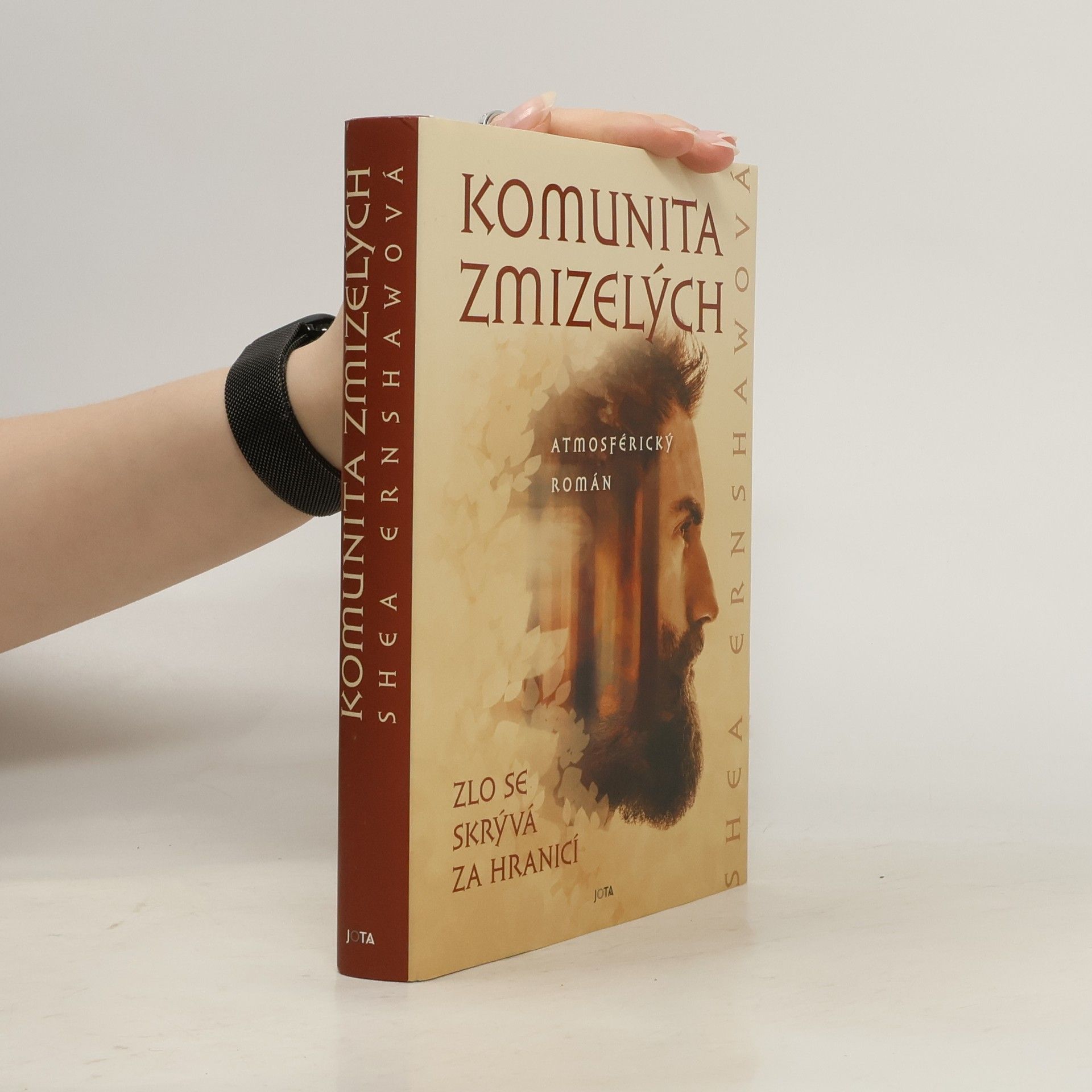 Shea Ernshaw Komunita zmizelých