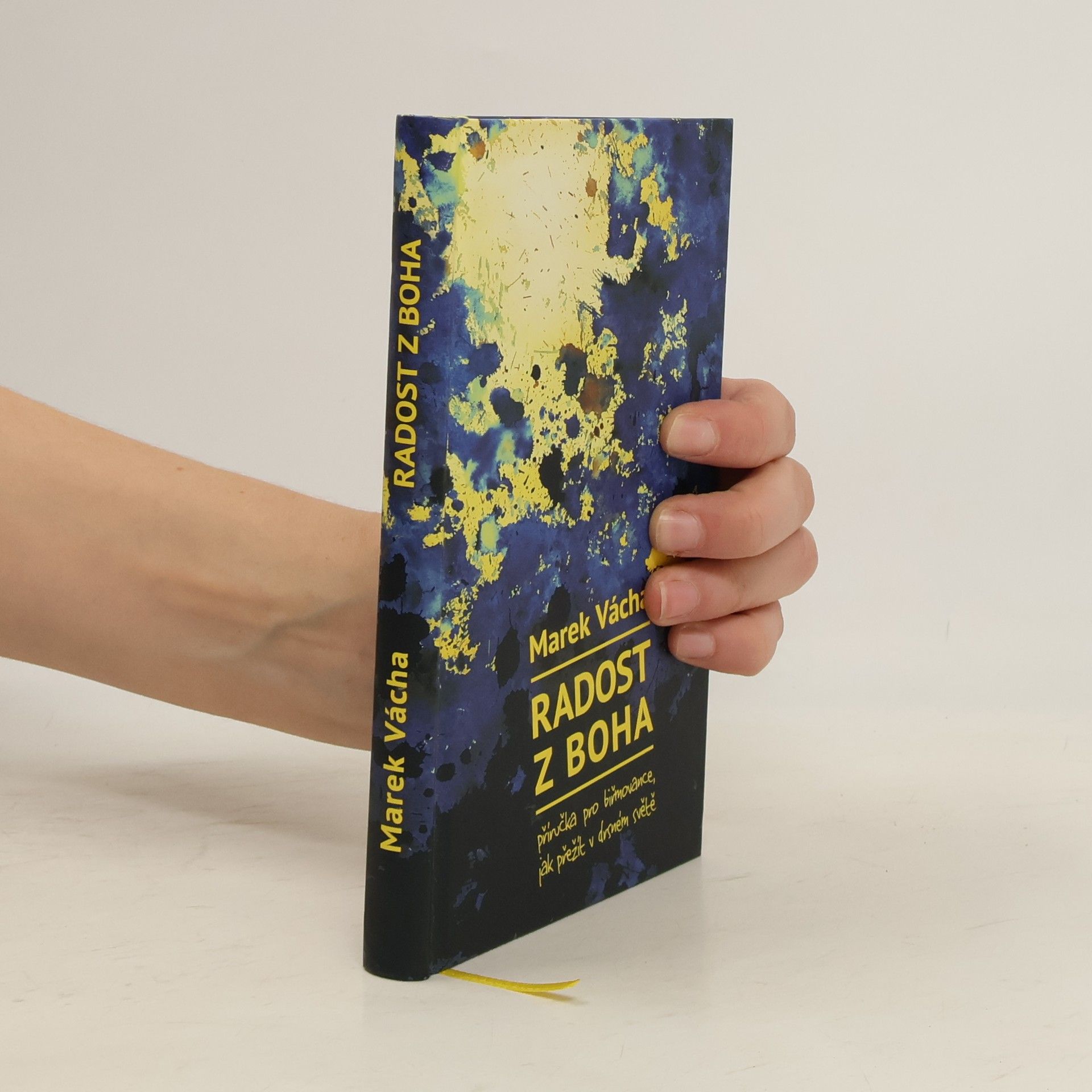 Marek Vácha Radost z Boha : příručka pro biřmovance, jak přežít v drsném světě