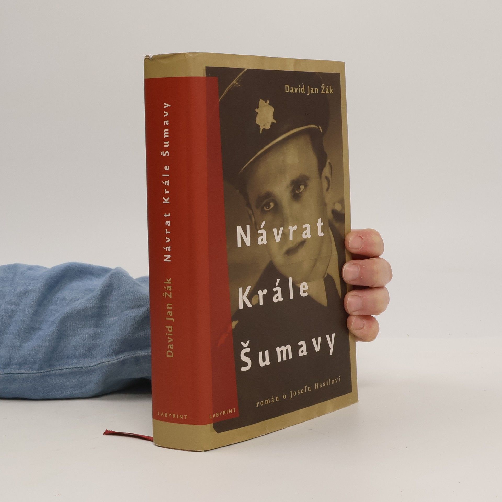 David Jan Žák Návrat Krále Šumavy