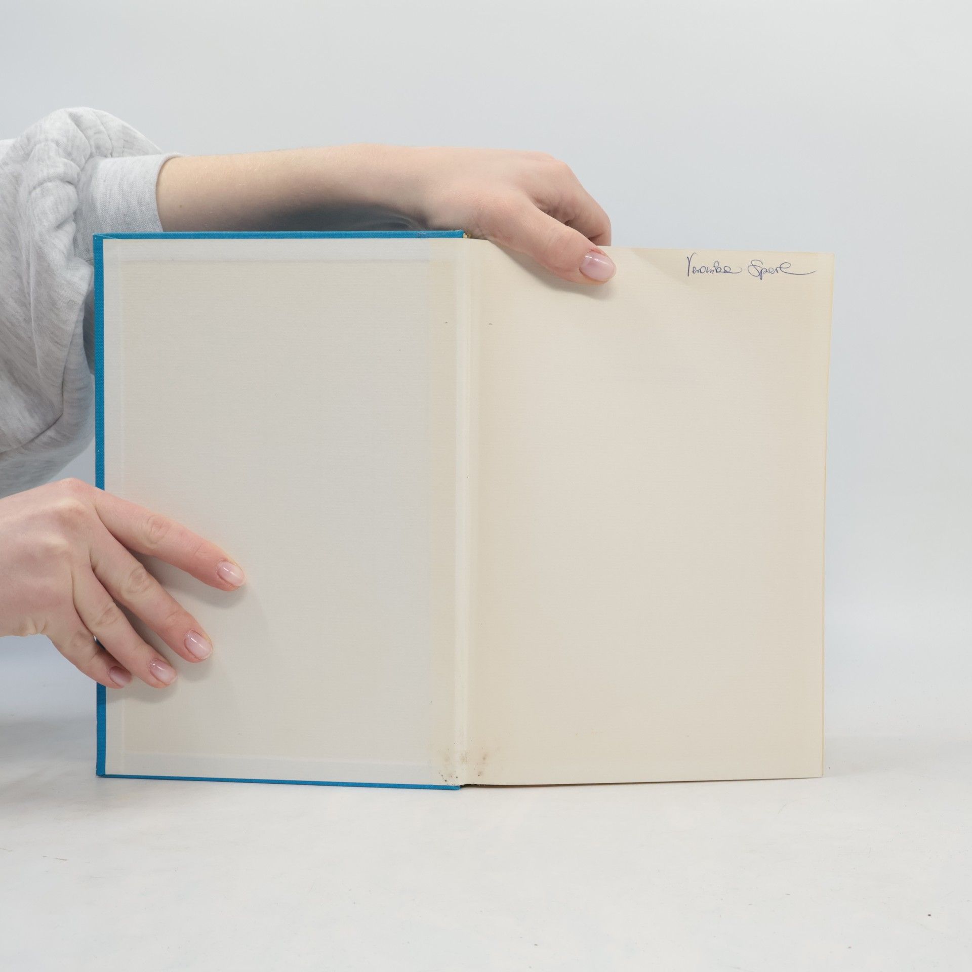 Helmut Willmann Langenscheidts Grosswörterbuch der englischen und deutschen Sprache : "Der Kleine Muret-Sanders". Englisch-Deutsch