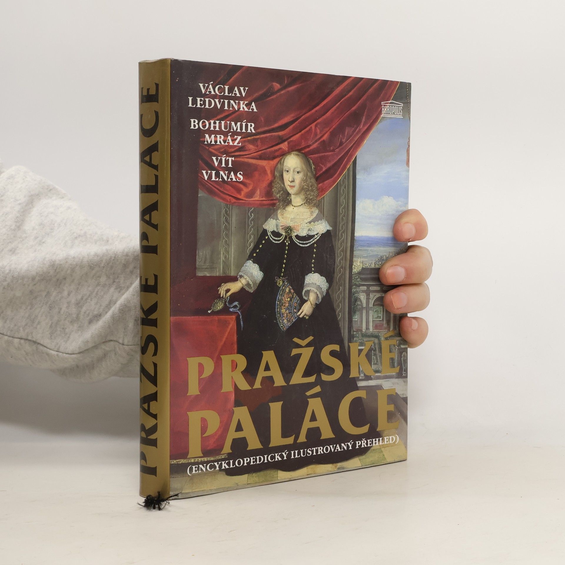 Václav Ledvinka Pražské paláce