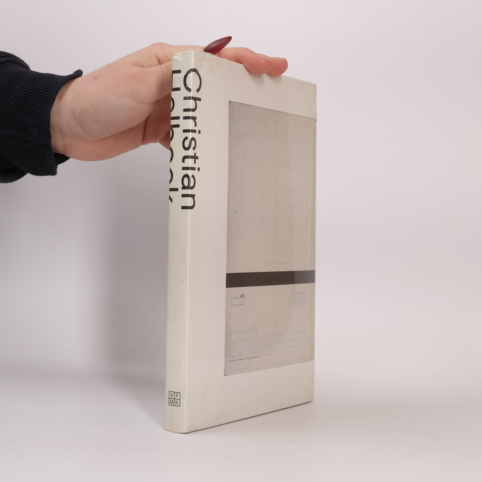 Ricardo Basbaum Christian Helbock