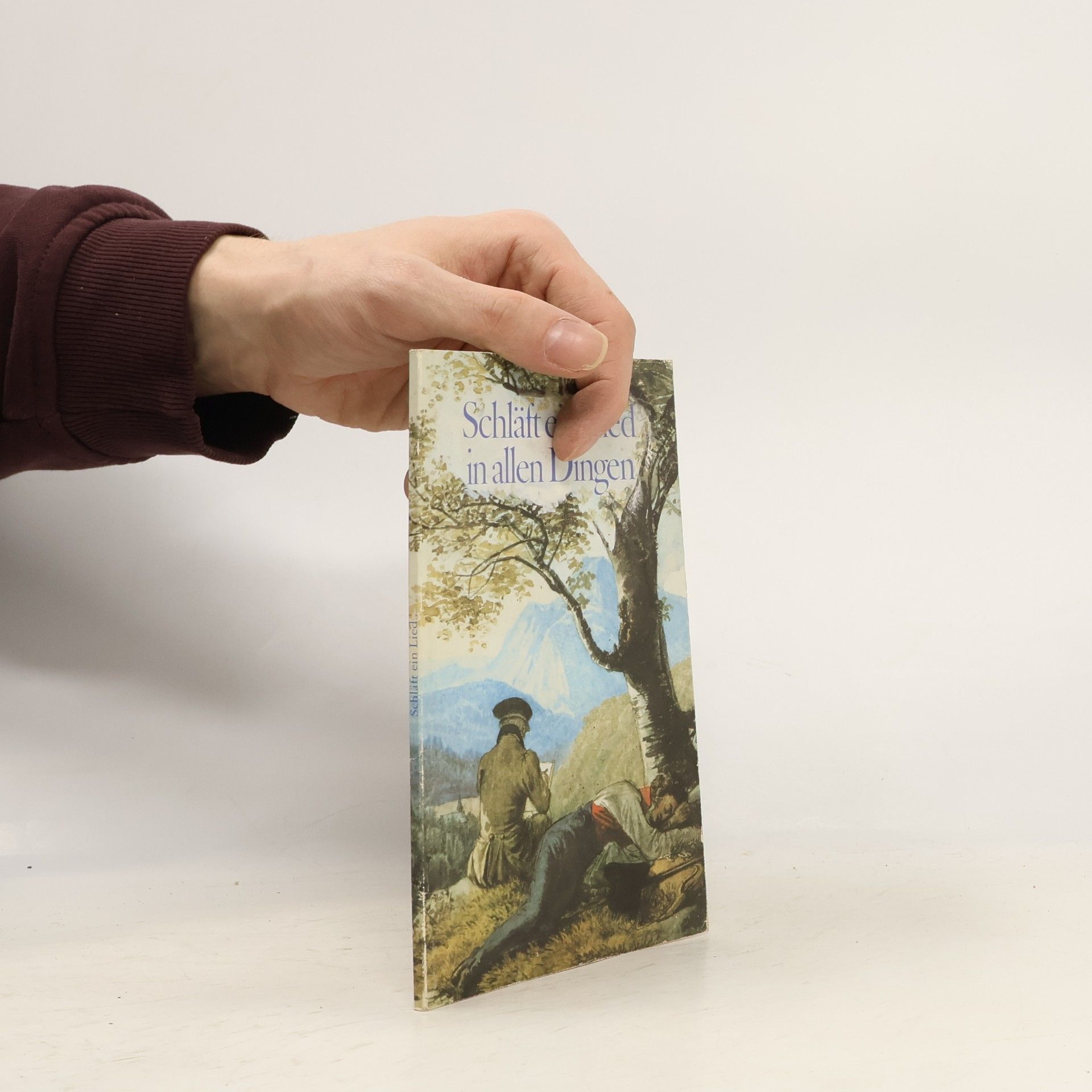 Martin Müller Schlaft ein Lied in allen Dingen