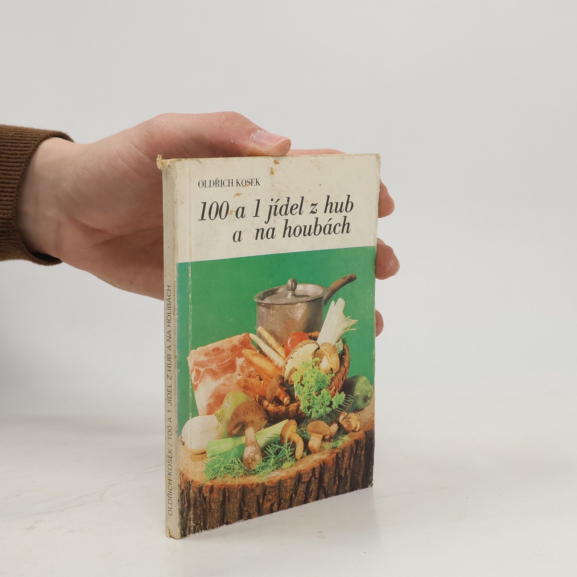 100 a 1 jídel z hub a na houbách