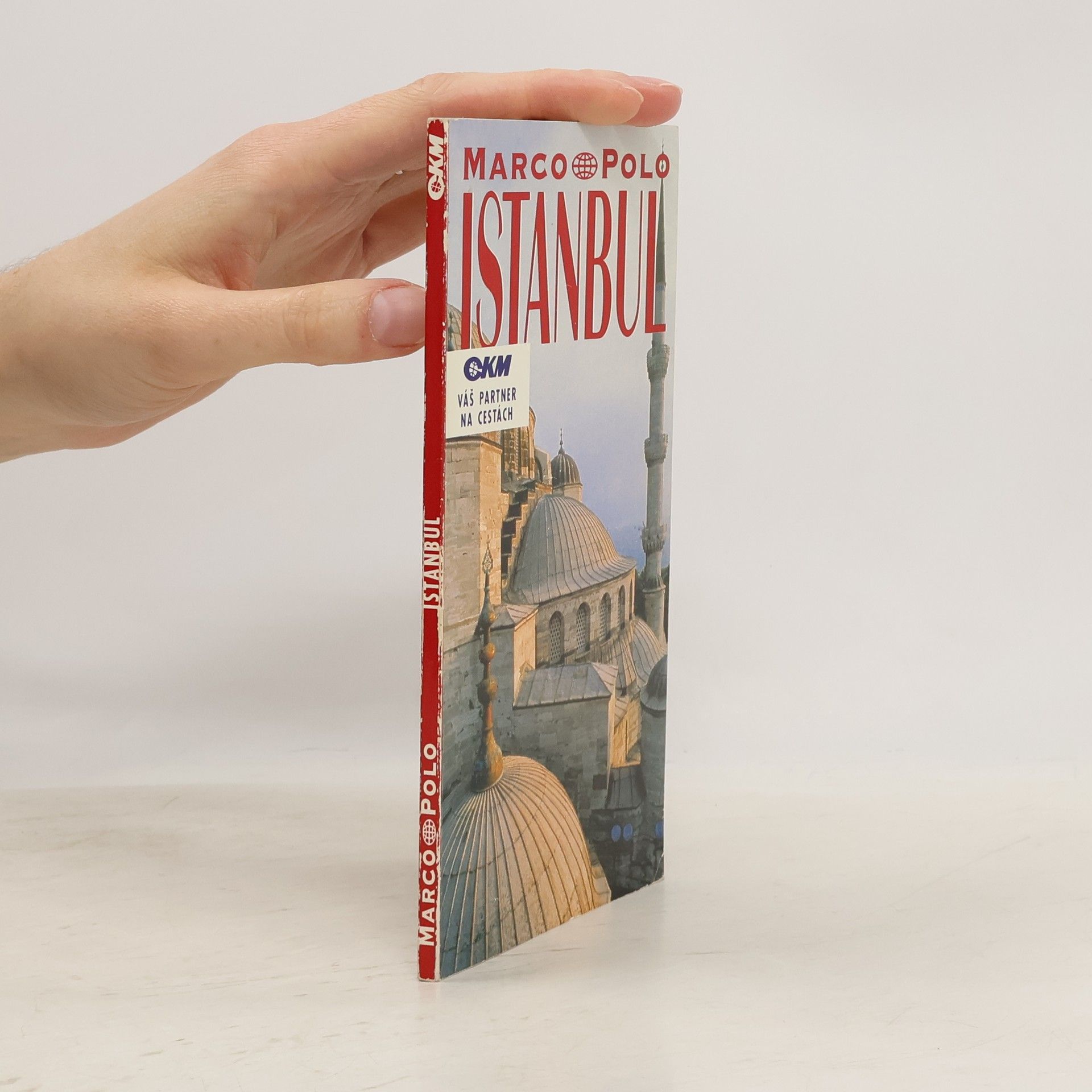 Rainer Poschl Istanbul. Průvodce na cesty s osvědčenými tipy