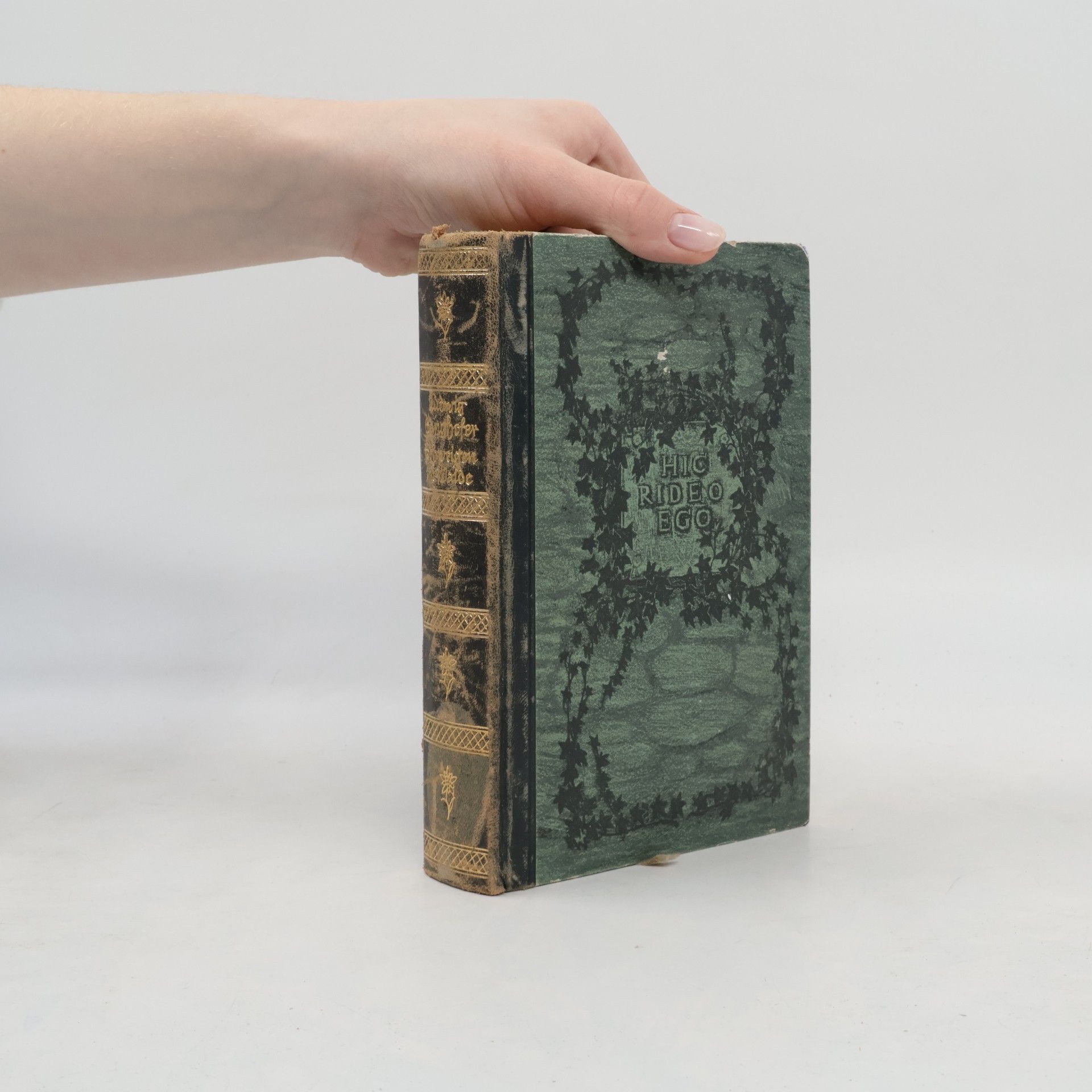 Ludwig Bangbofer Das Schweigen im Walde