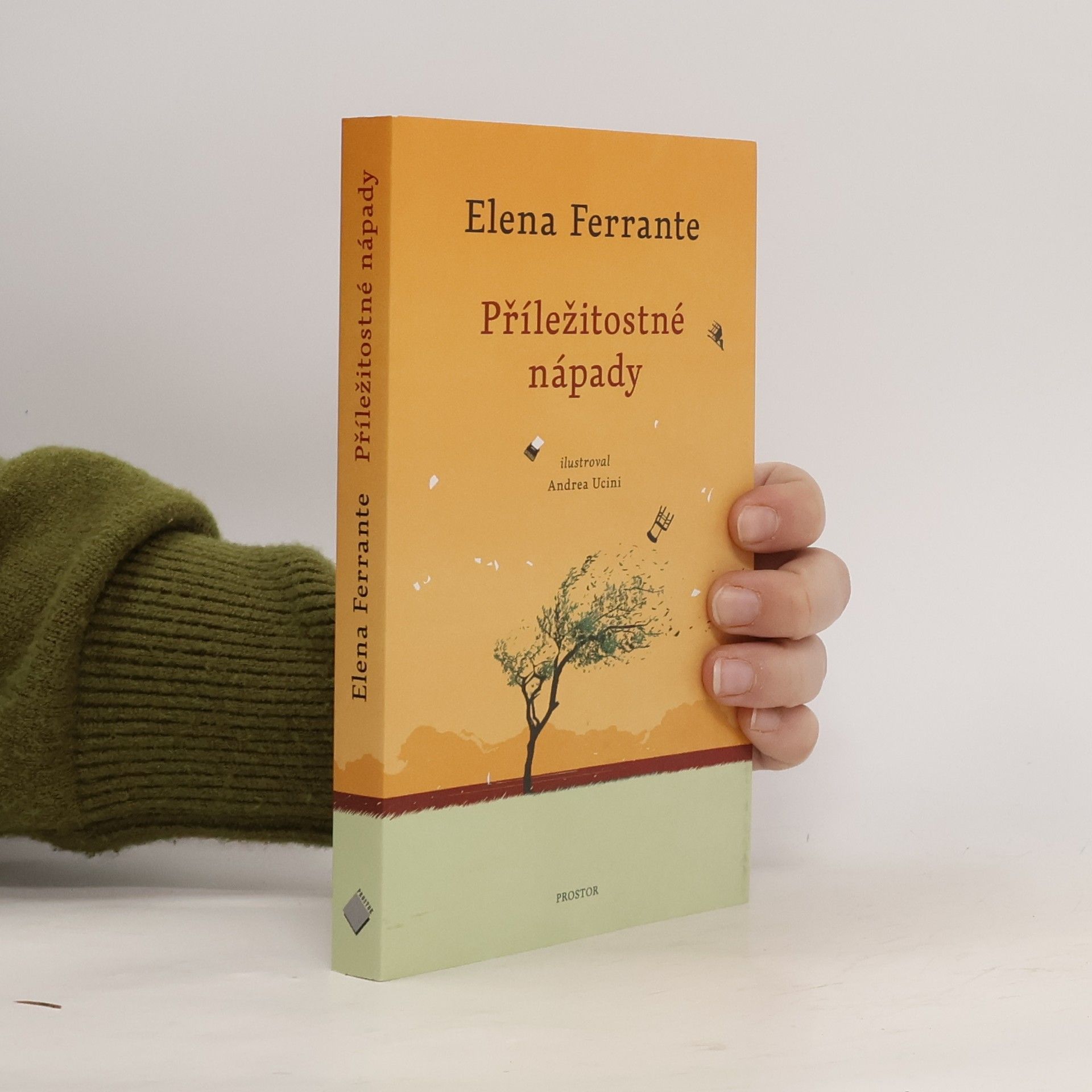 Elena Ferrante Příležitostné nápady