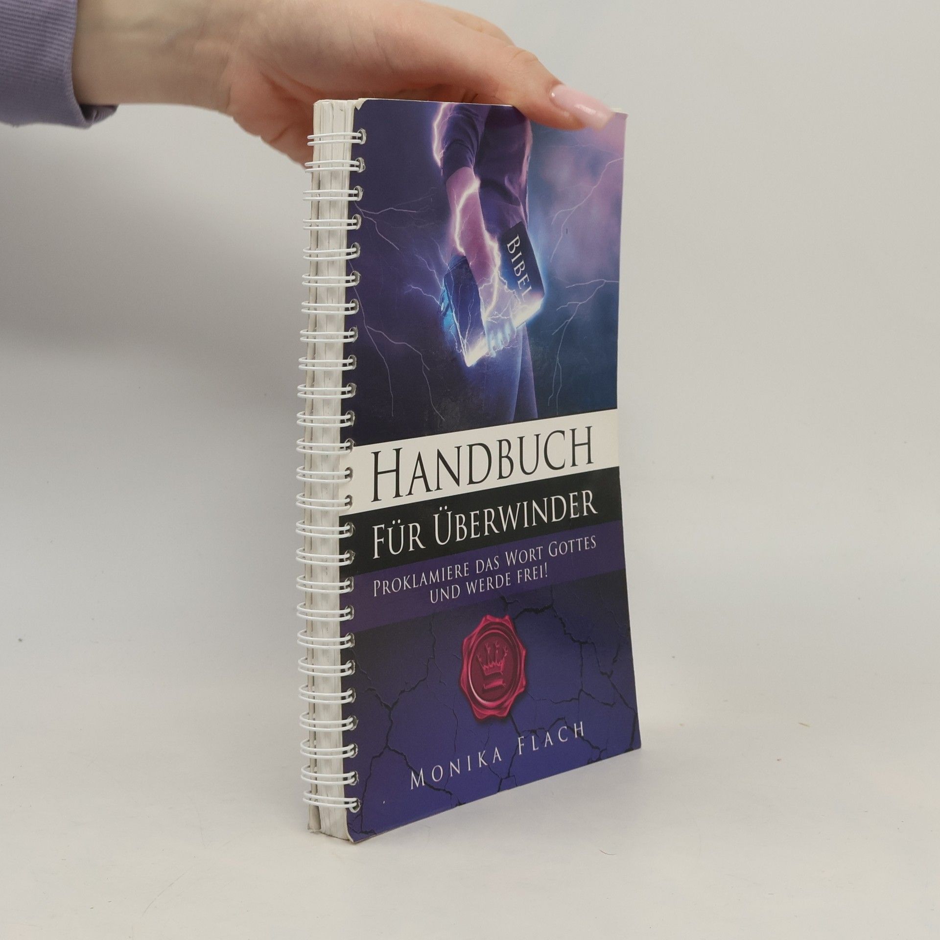 Monika Flach Handbuch für Überwinder
