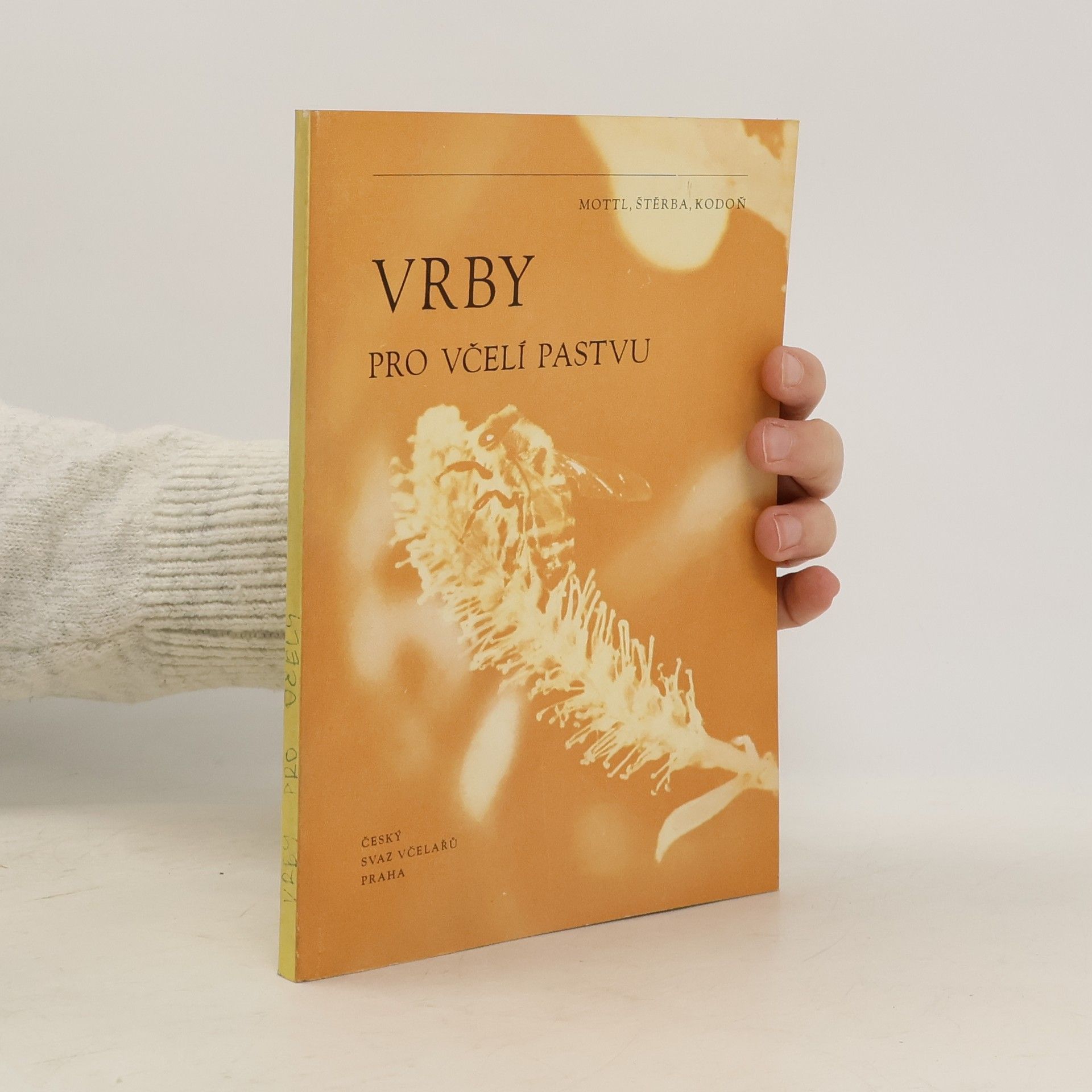 Kolektiv autorů Vrby pro včelí pastvu