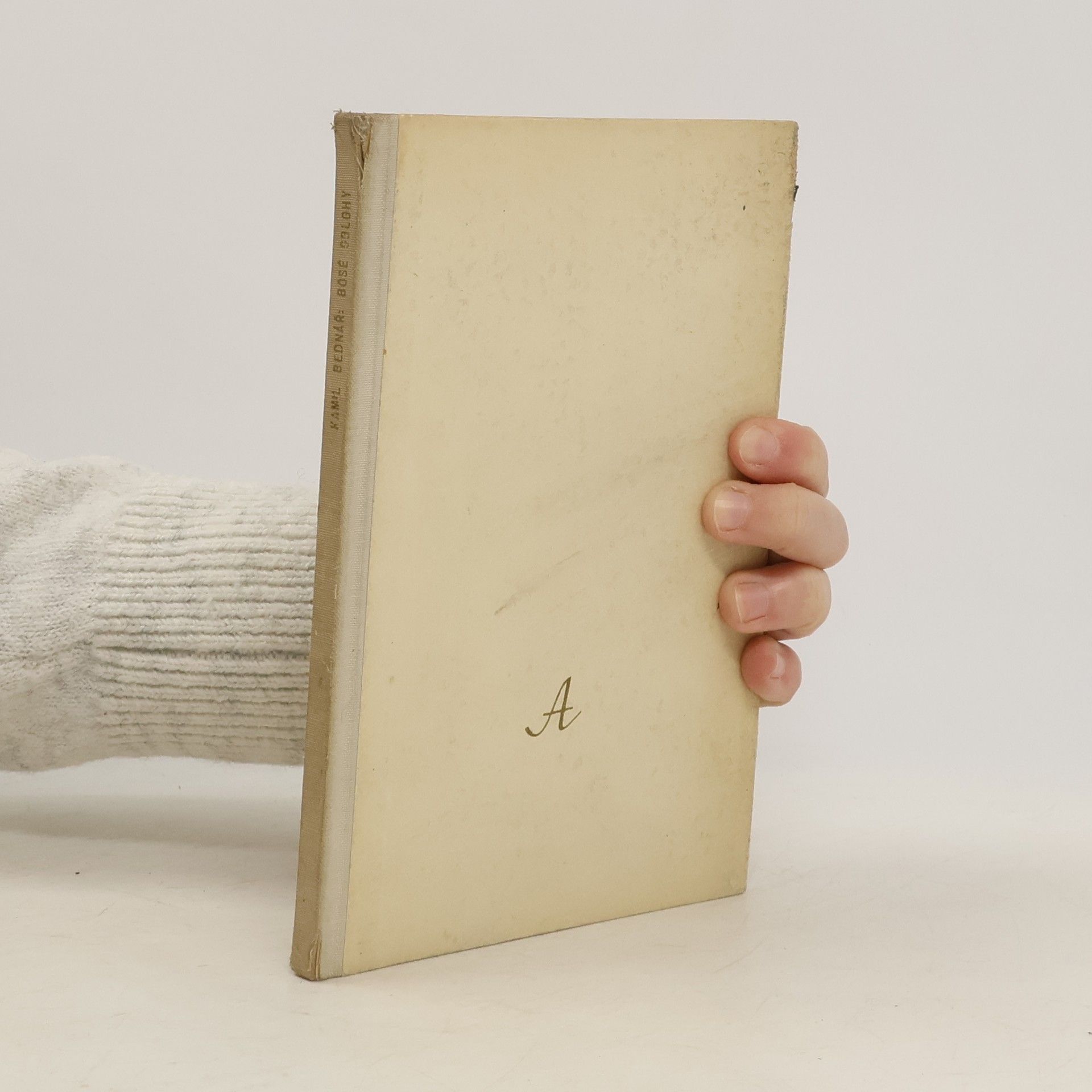 Kamil Bednář Bosé oblohy. Verše psané do písku