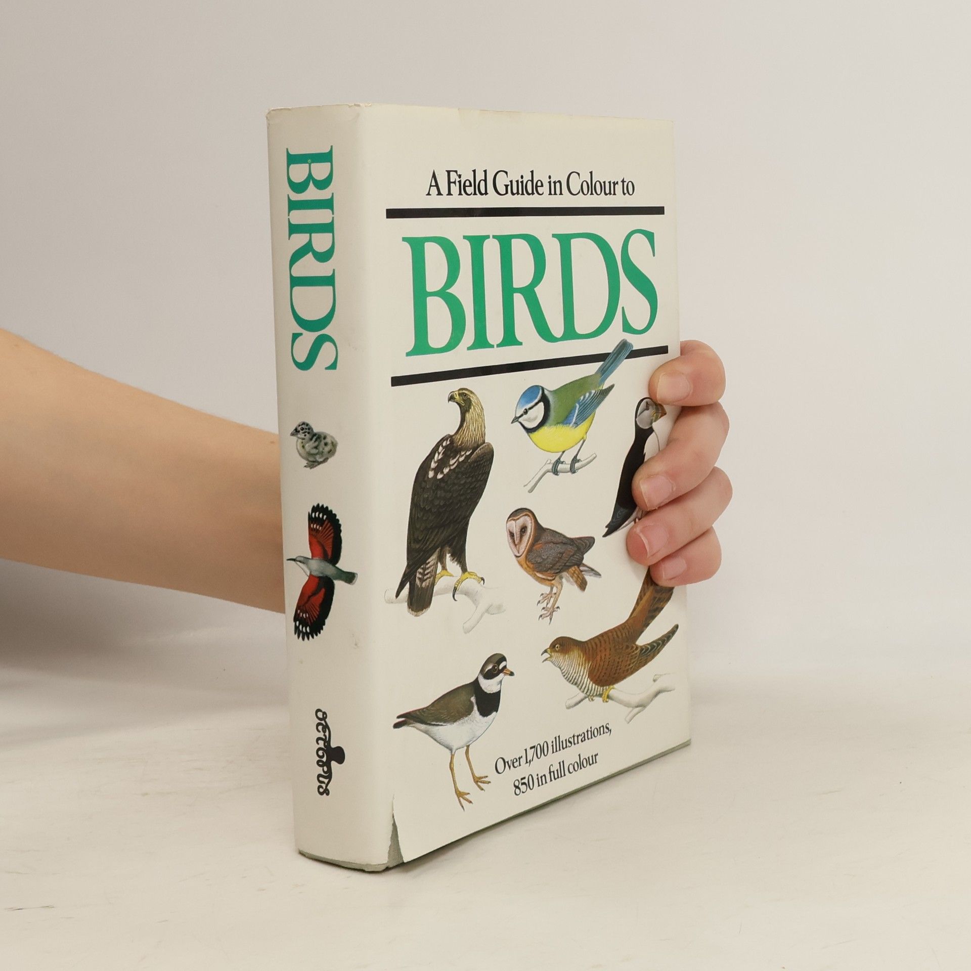 Kolektiv autorů A Field Guide in Color to Birds