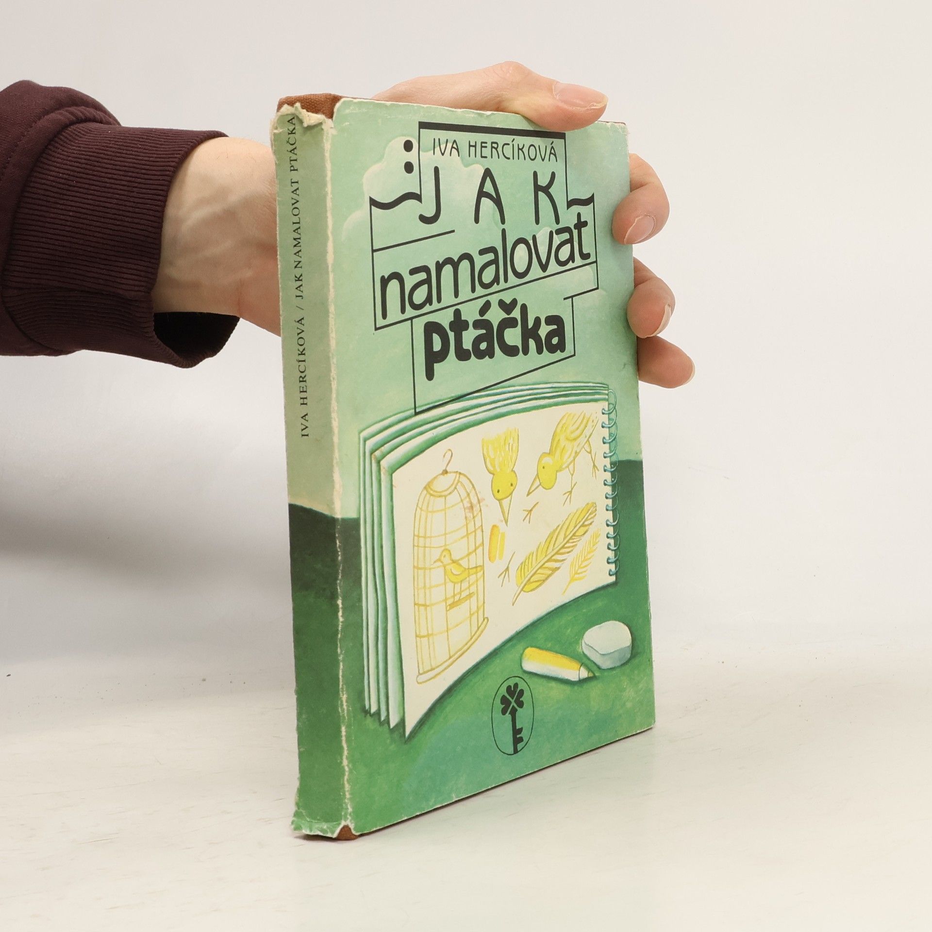 Iva Hercíková Jak namalovat ptáčka