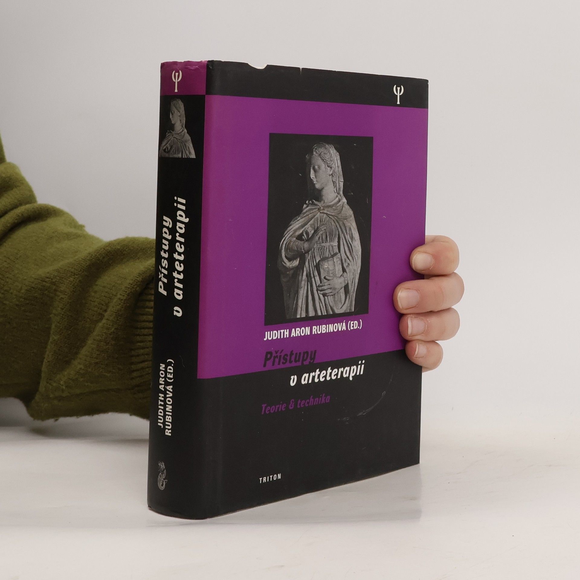 Judith Aron Rubin Přístupy v arteterapii. Teorie & technika