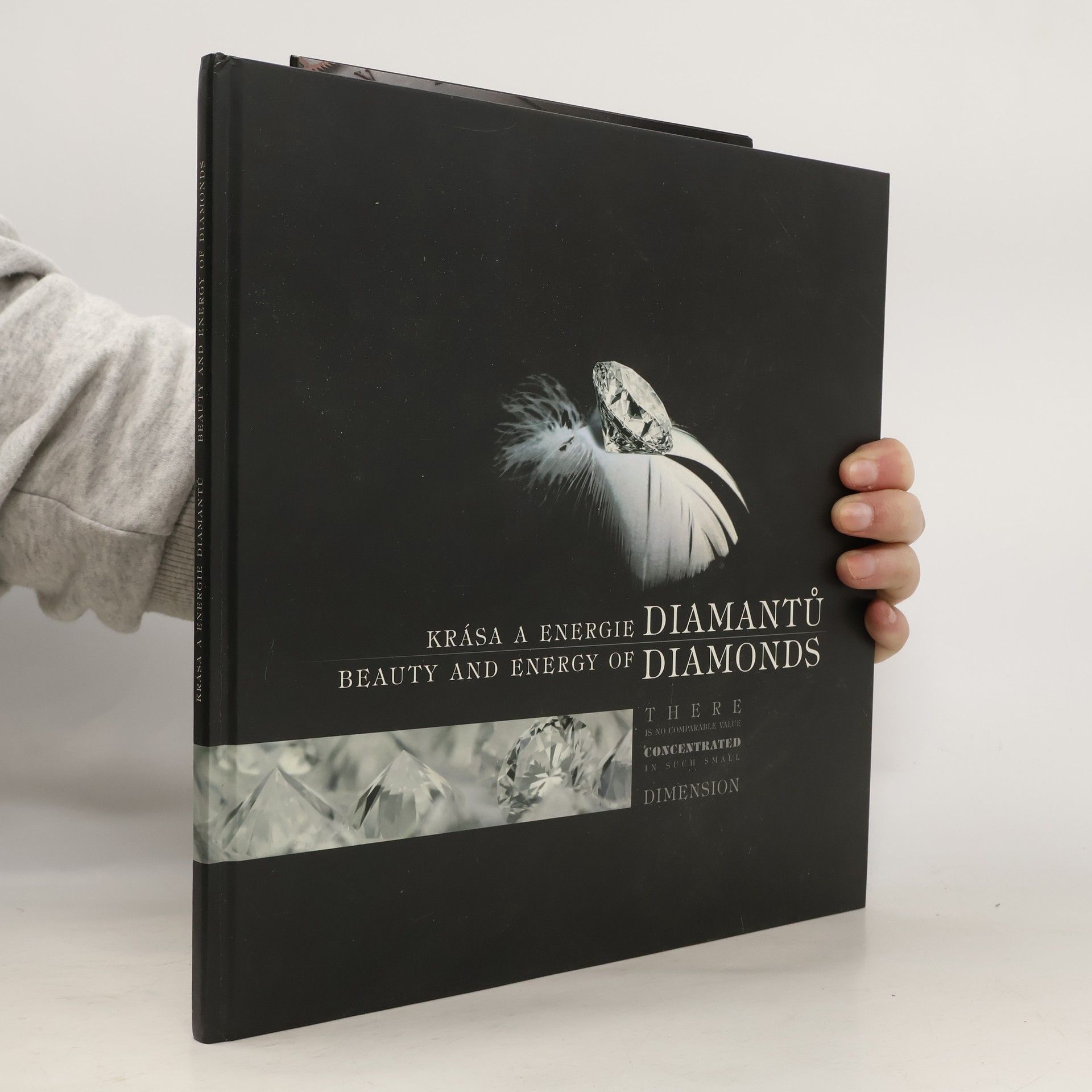 David Baldacci The Fix