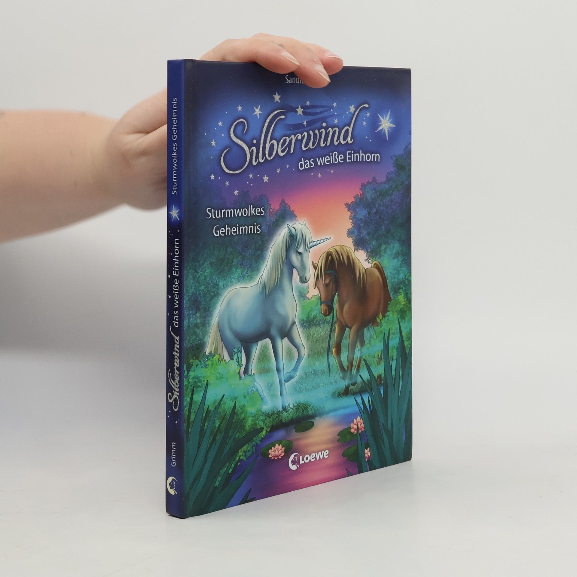 Sandra Grimm Sturmwolkes Geheimnis