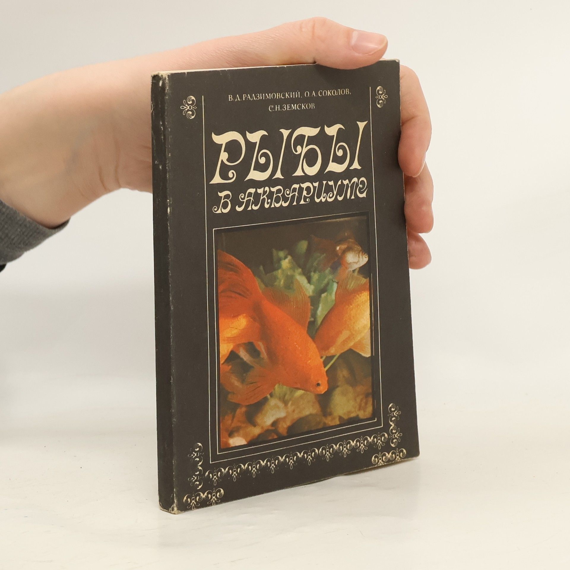 Олег Соколов Рыбы в аквариуме