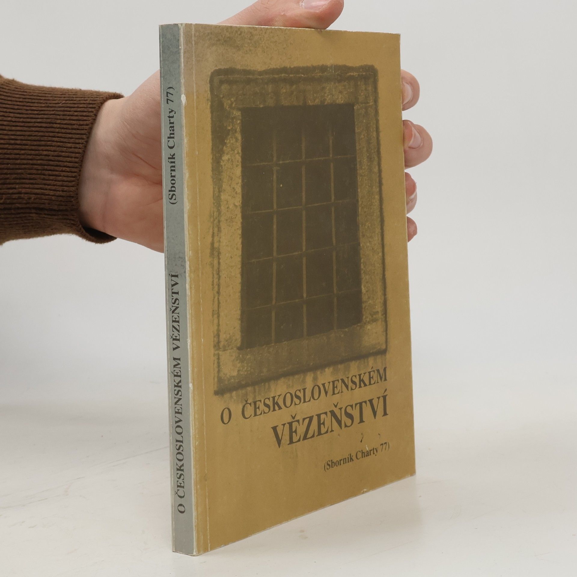 Jiří Fleyberk Československé probuzení