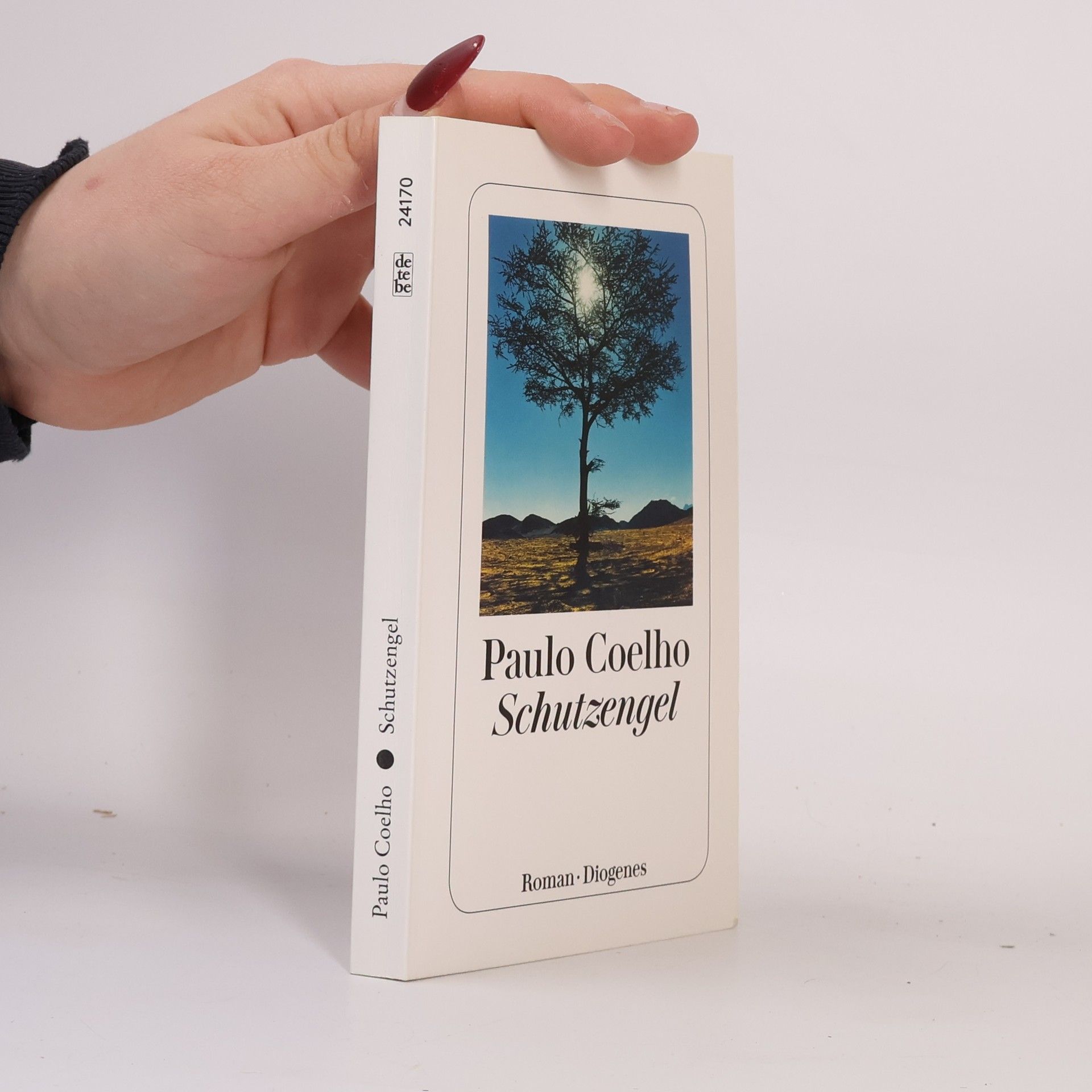 Paulo Coelho Schutzengel