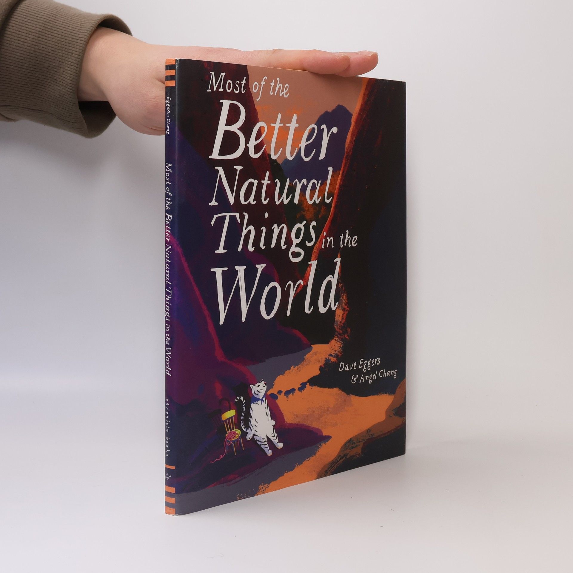 Dave Eggers Most of the Better Natural Things in the World