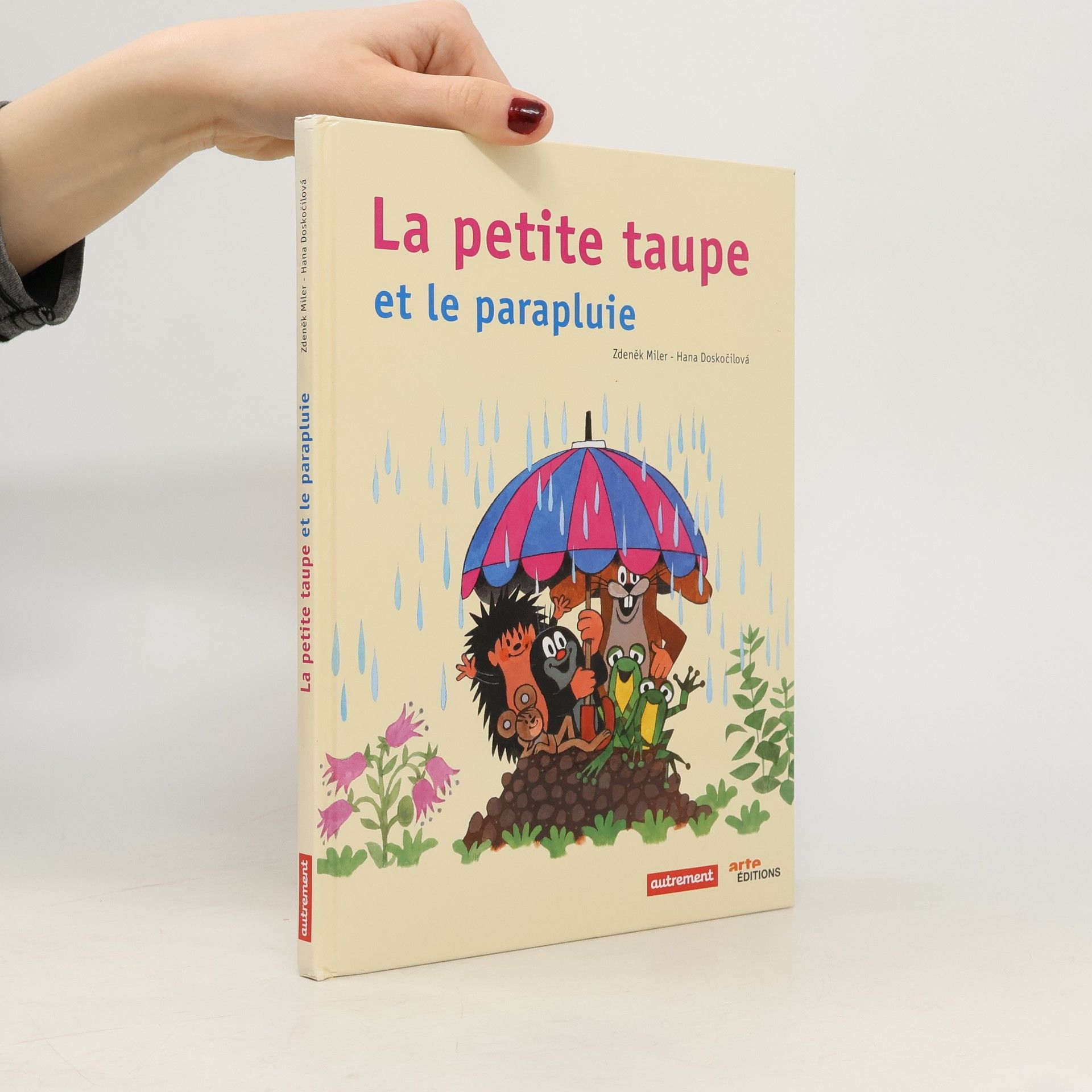 La Petite Taupe et le parapluie