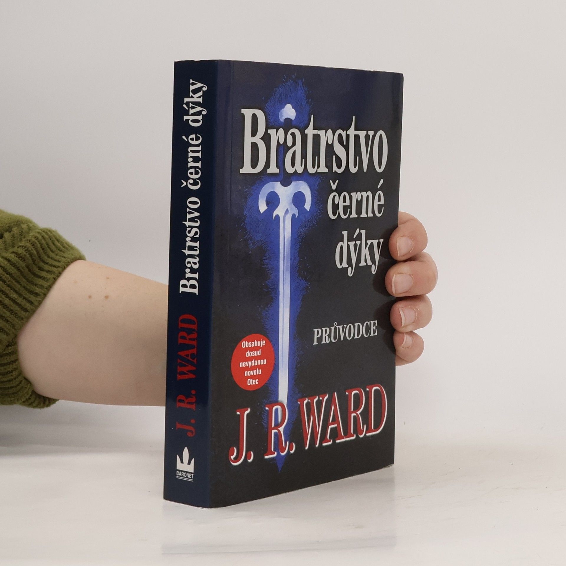 Jessica Rowley Pell Bird Blakemore Bratrstvo černé dýky. Průvodce zasvěceného čtenáře