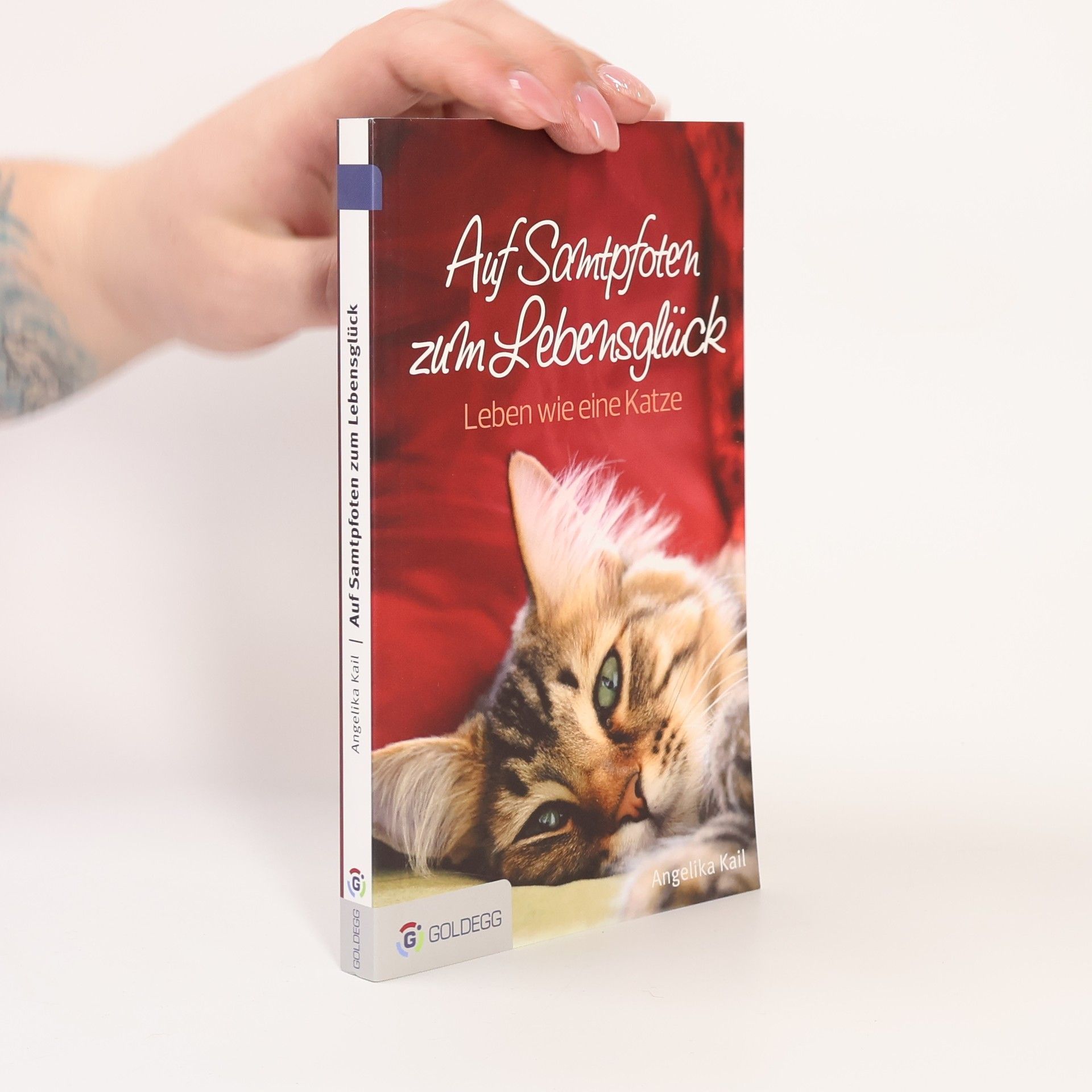 Angelika Kail Auf Samtpfoten zum Lebensglück