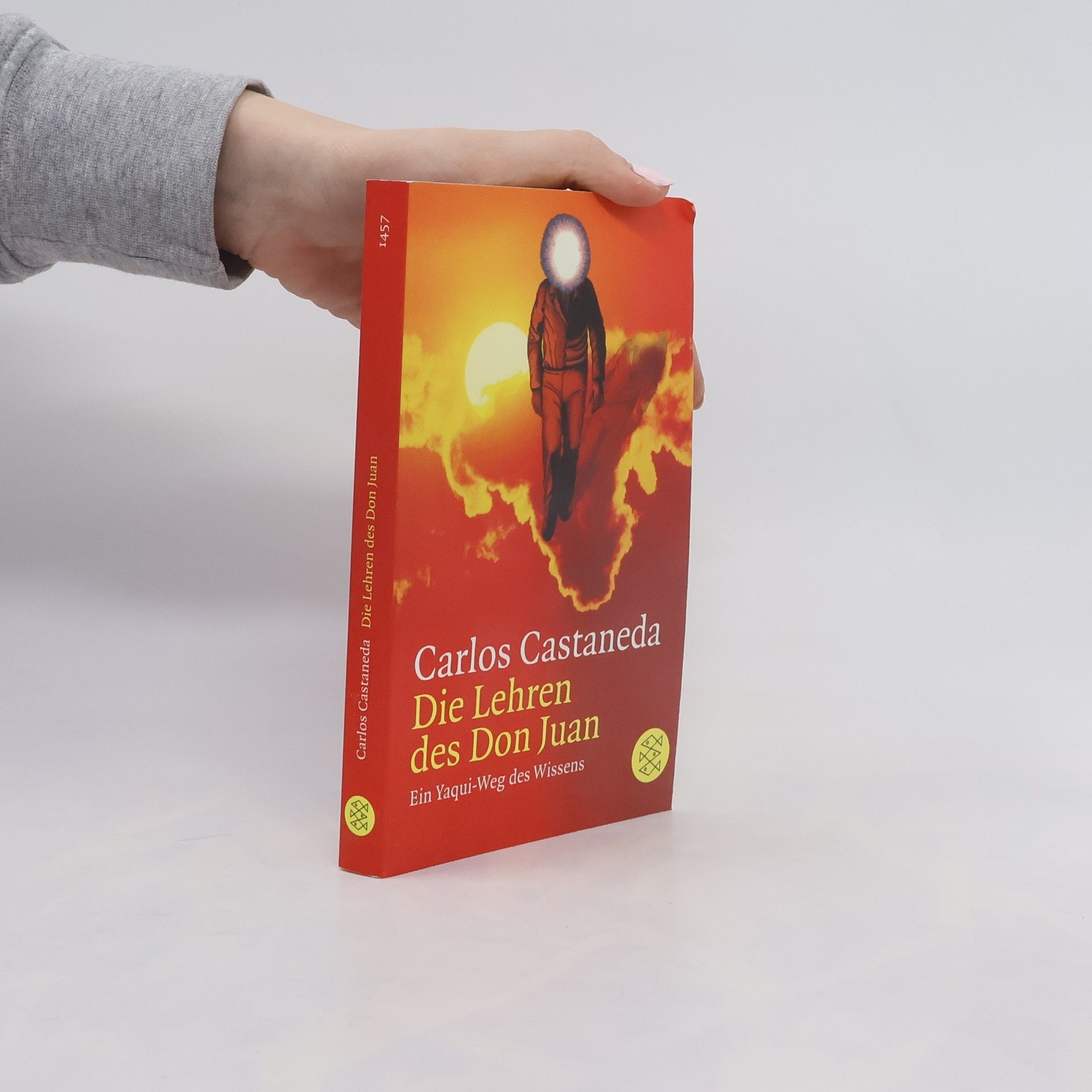 Carlos Castaneda Die Lehren des Don Juan