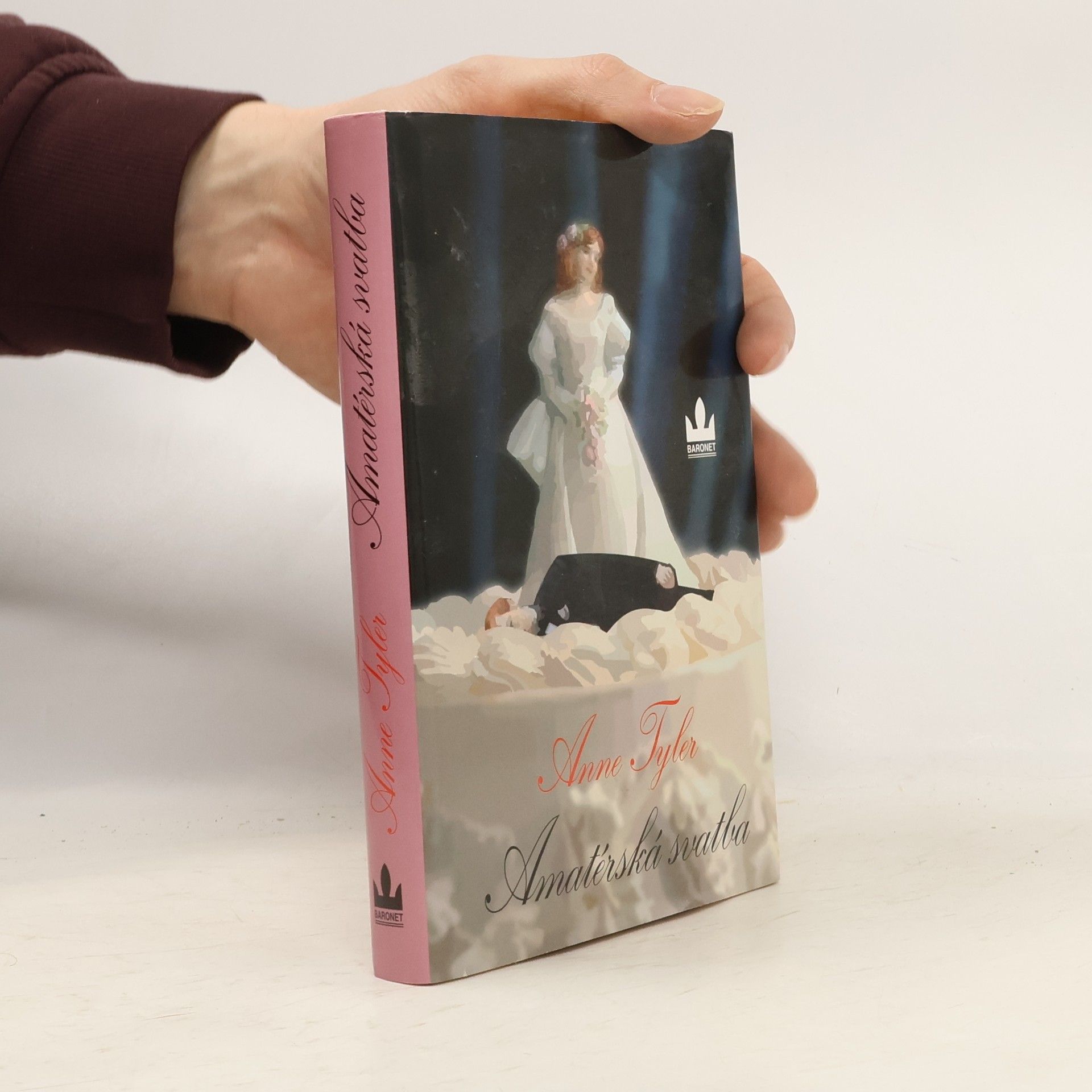 Anne Tyler Amatérská svatba