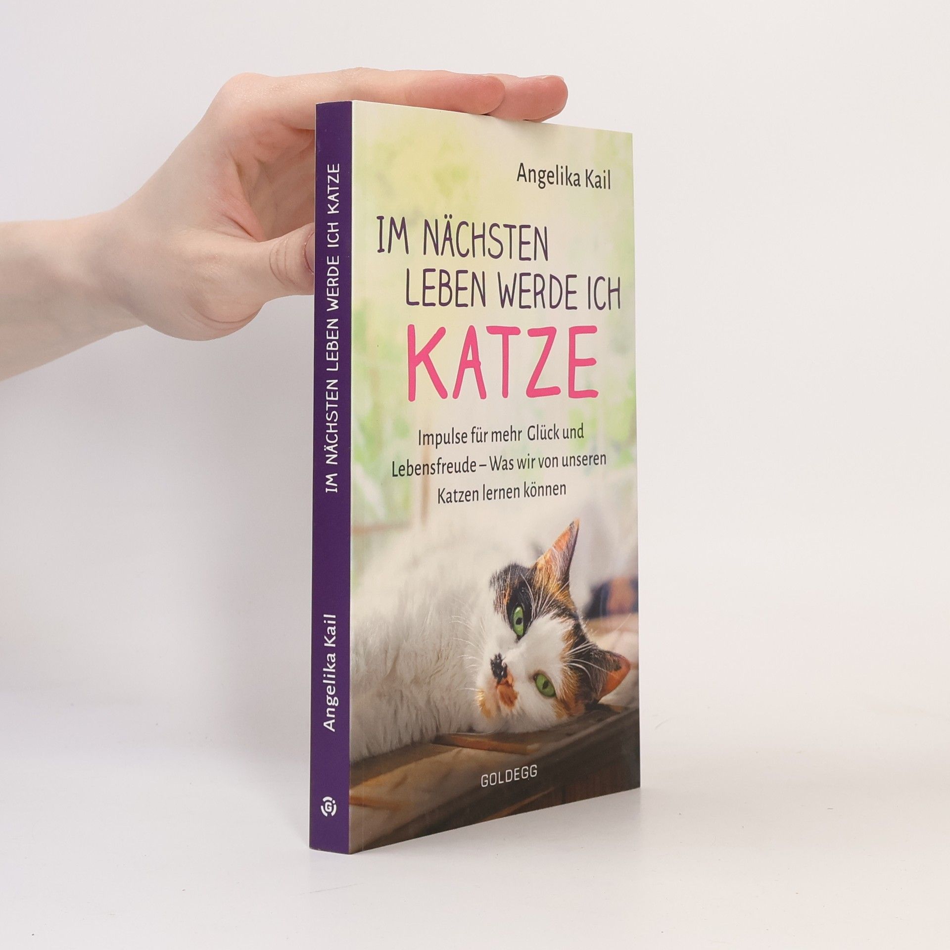 Im nächsten Leben werde ich Katze