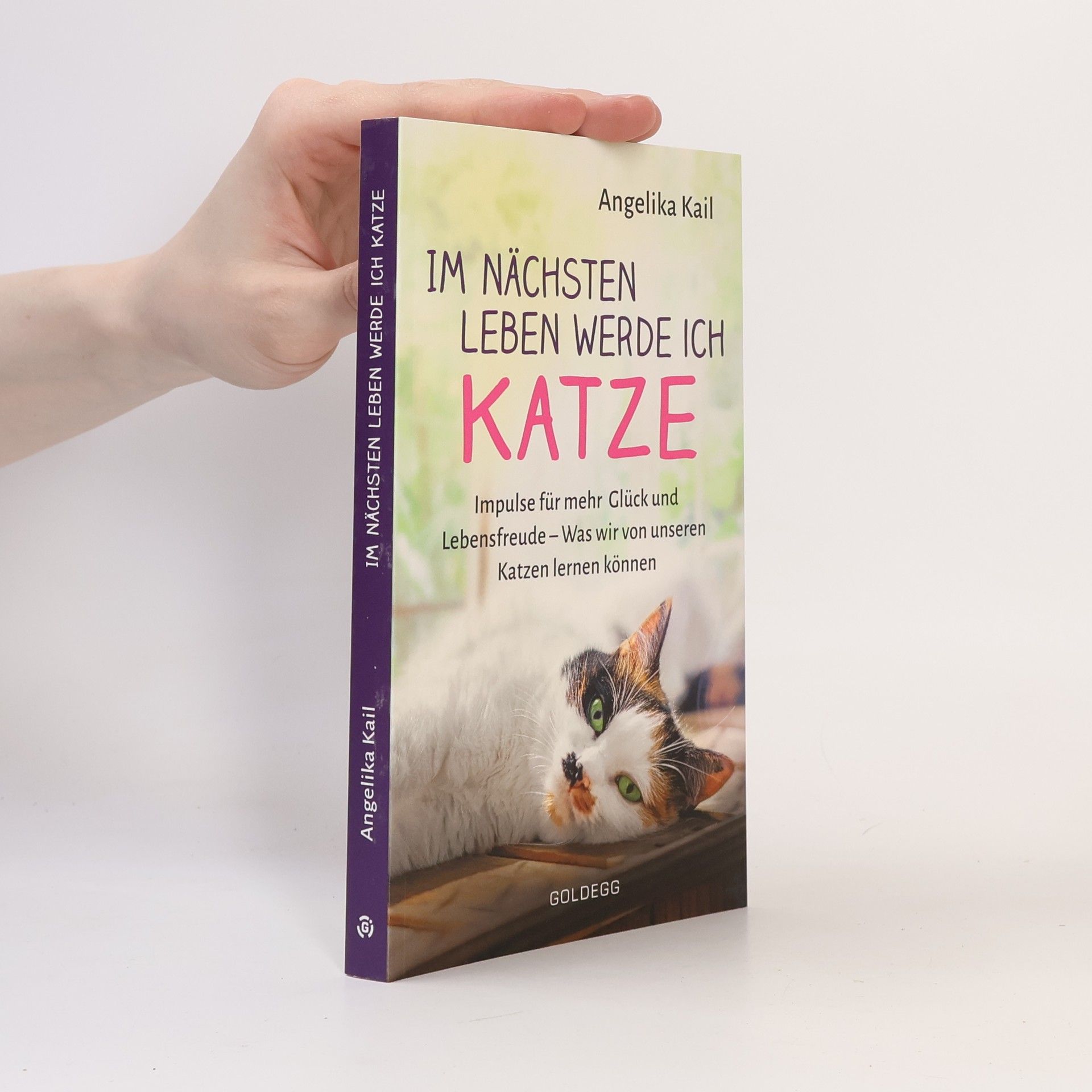 Angelika Kail Im nächsten Leben werde ich Katze