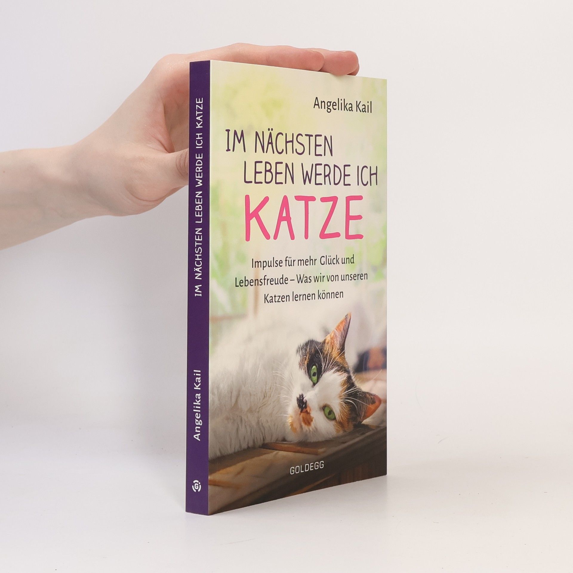 Angelika Kail Im nächsten Leben werde ich Katze