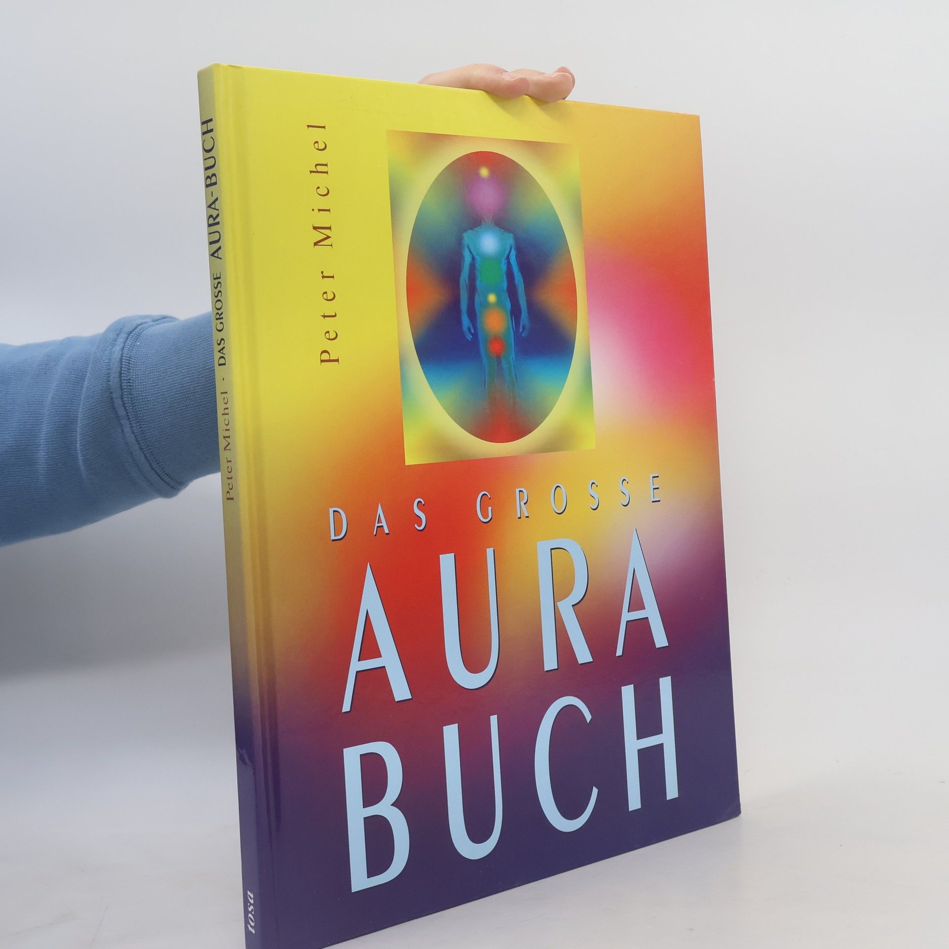 Peter Michel Das grosse Aura-Buch