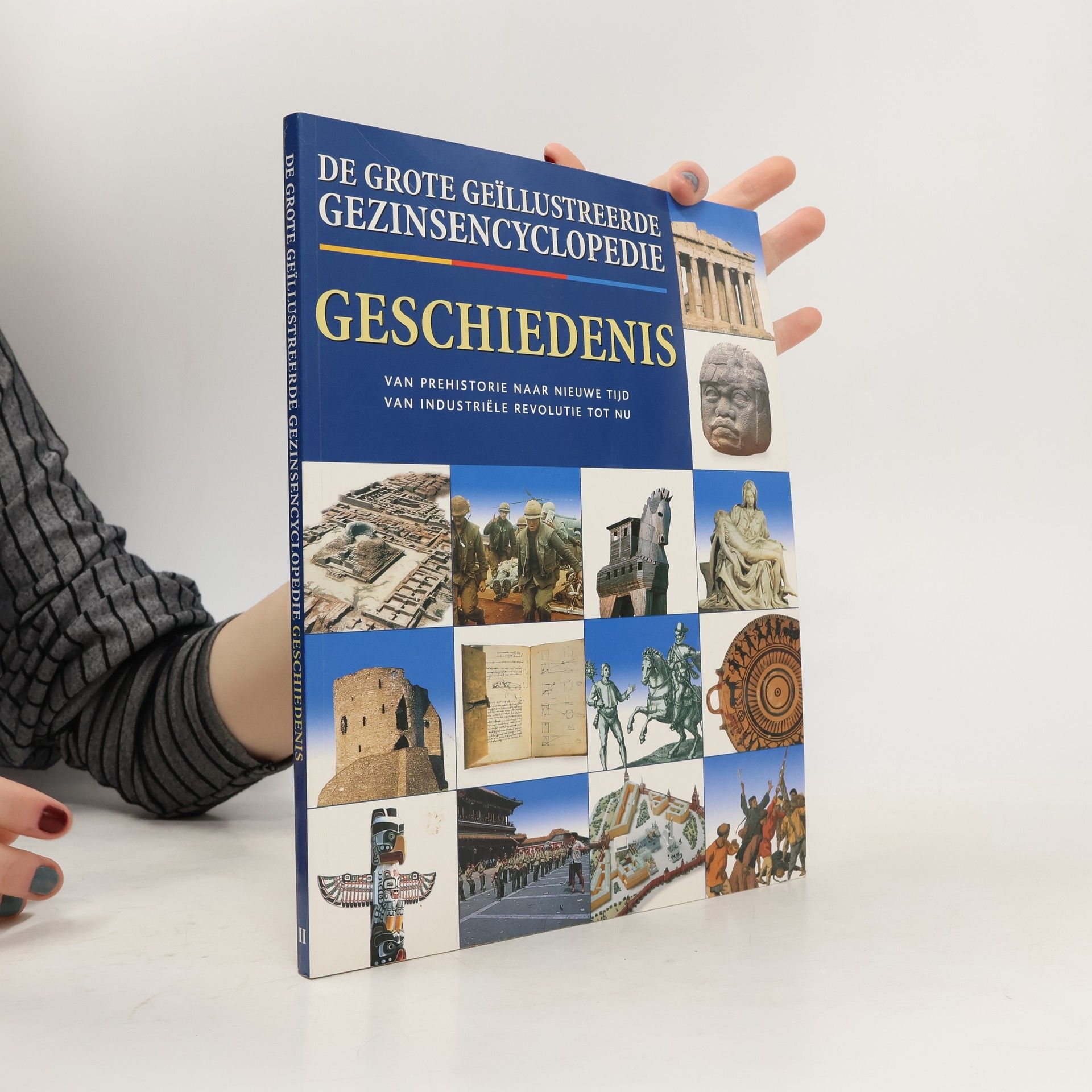 Jane Parsons De grote geïllustroerde gezinsencyclopedie