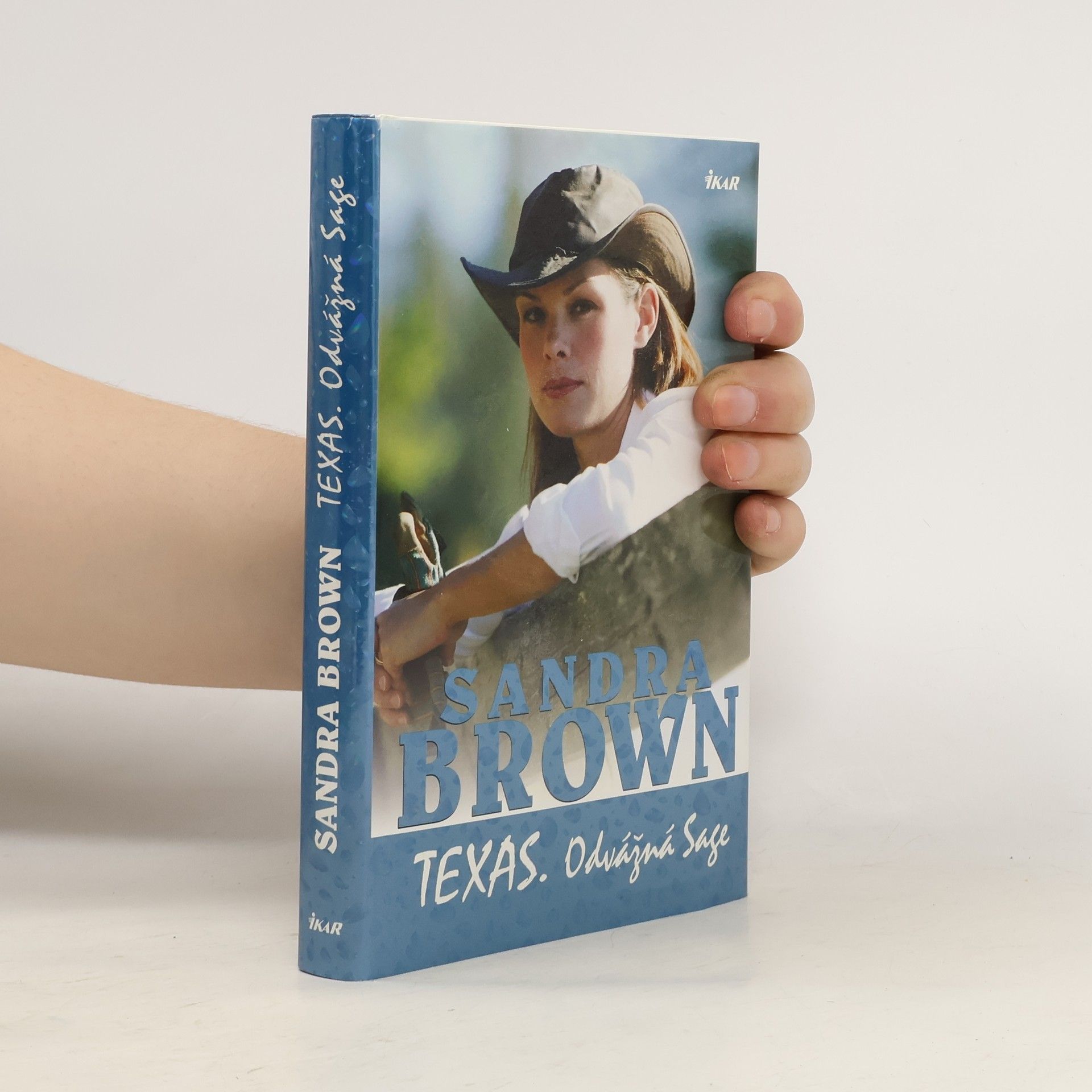 Sandra Brown Texas. Odvážná Sage