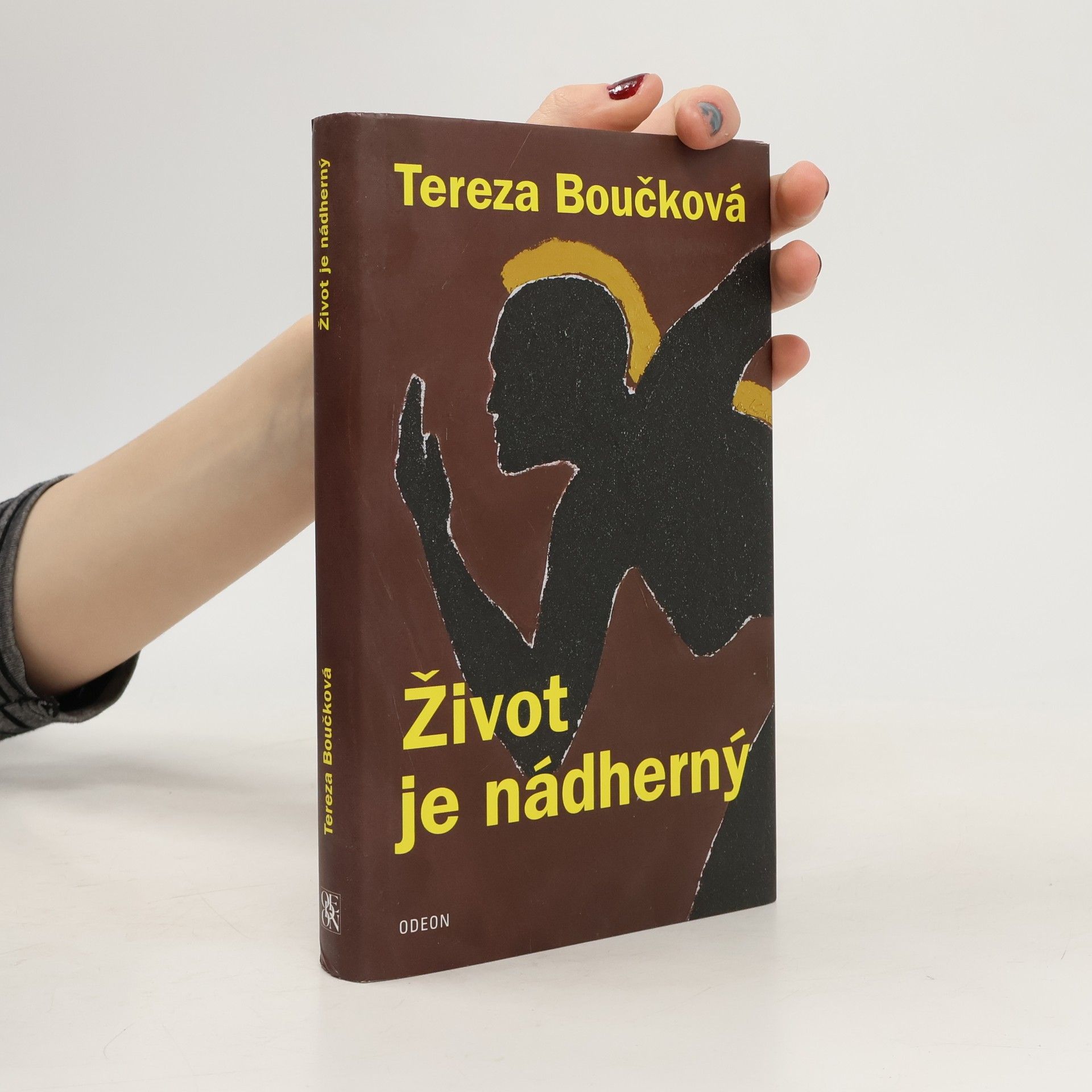 Tereza Boučková Život je nádherný