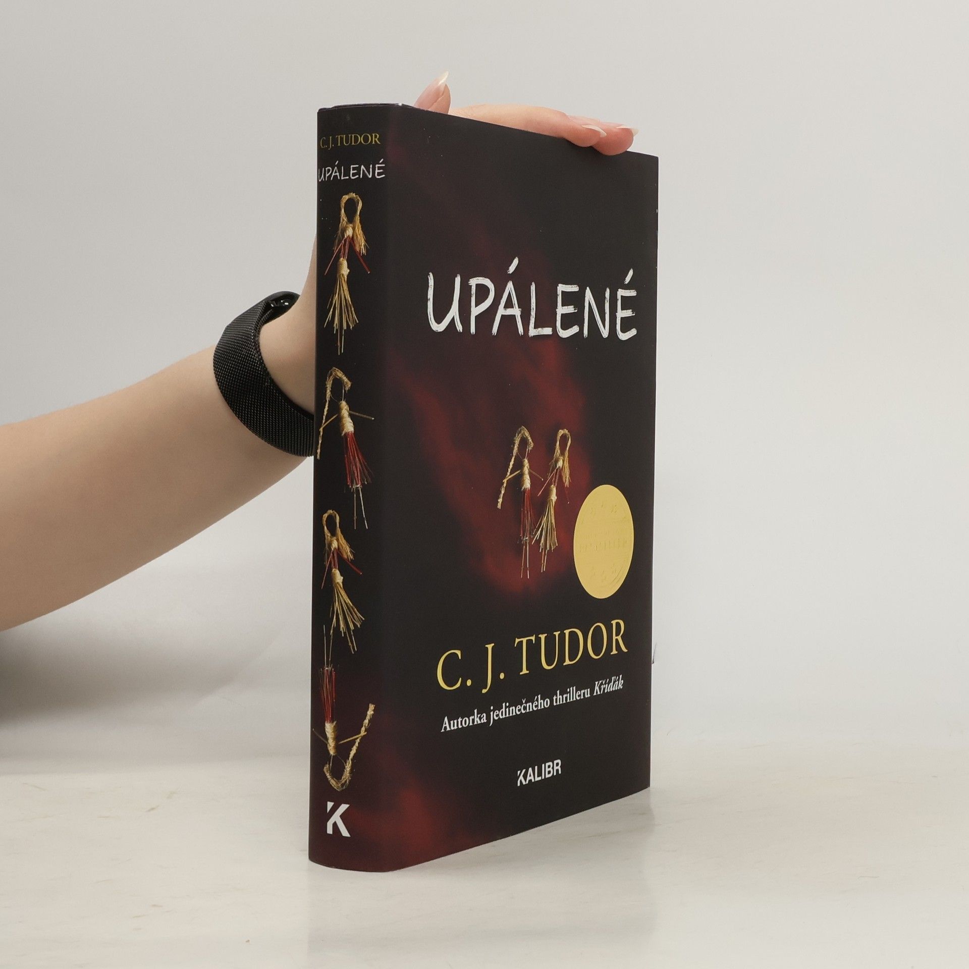C. J. Tudor Upálené