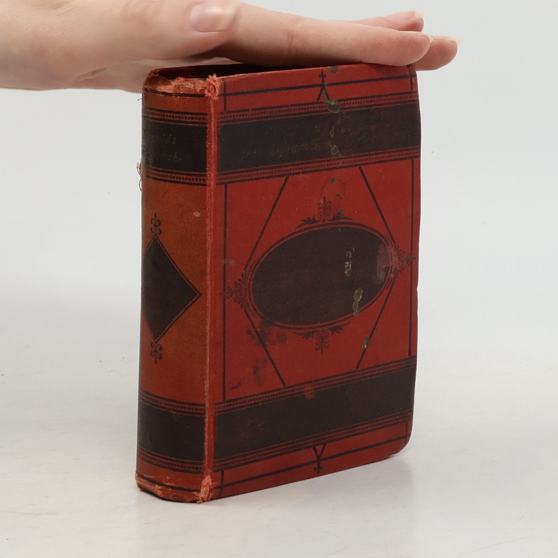 Bernhard Klein Spanisch-Deutsch und Deutsch-Spanisch