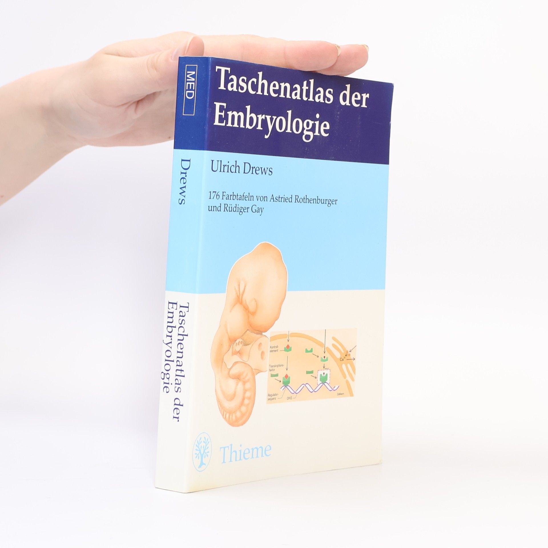 Taschenatlas der Embryologie