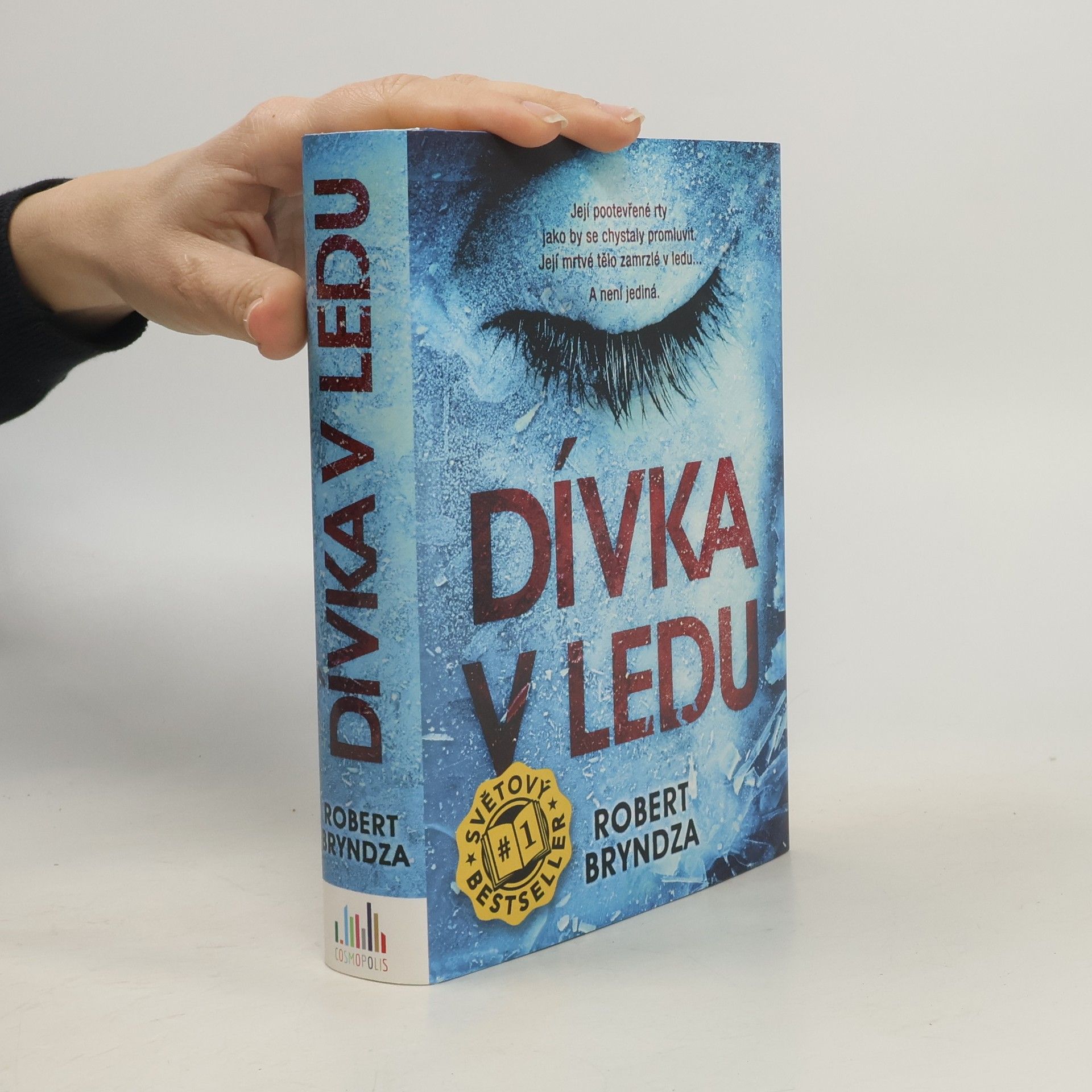 Robert Bryndza Dívka v ledu